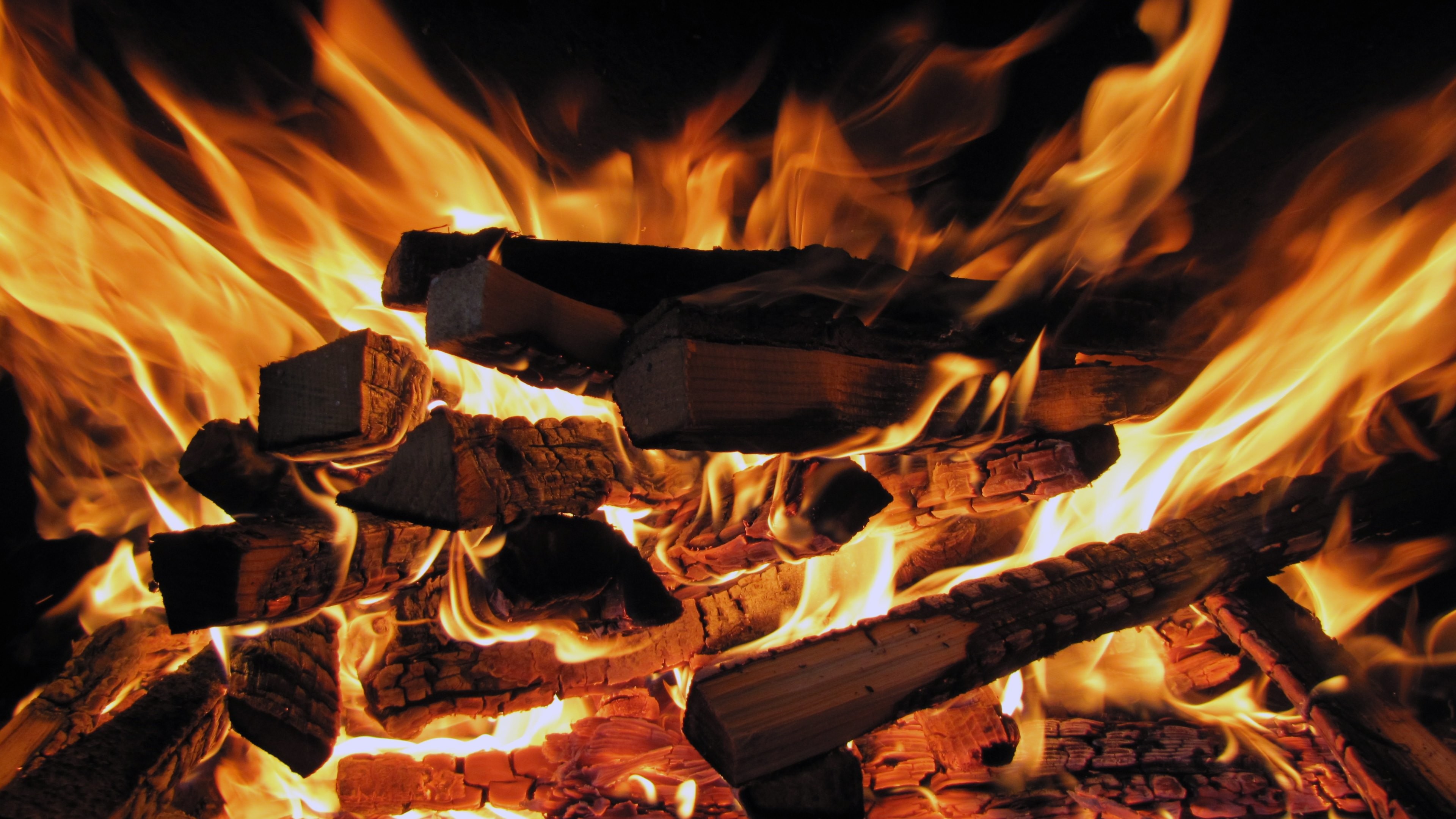 Falò, Legna, Fiamme, Braci, 4K, sfondo desktop