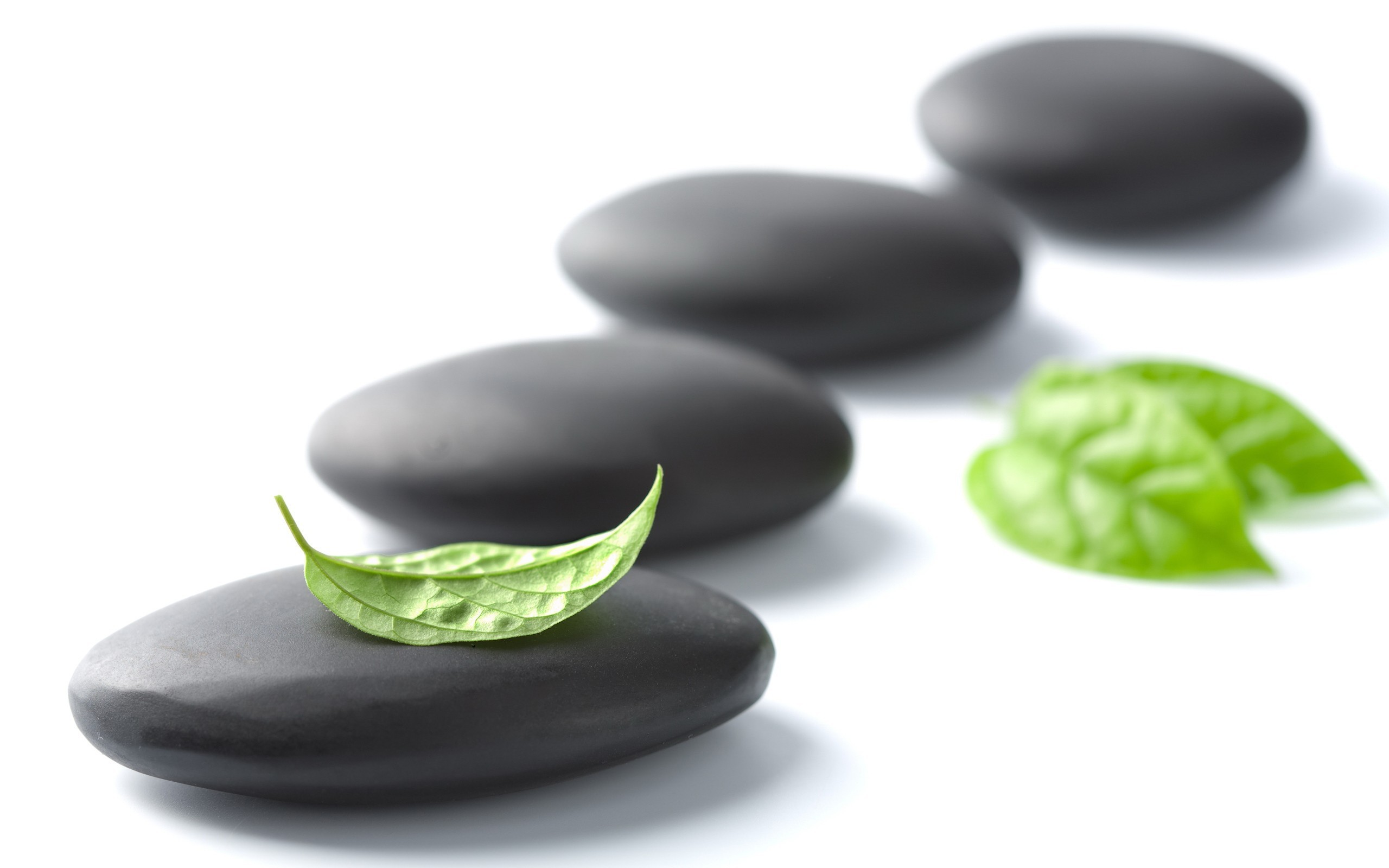 Pietre nere, Foglie verdi, Sfondo bianco, Spa, 2K, wallpaper desktop