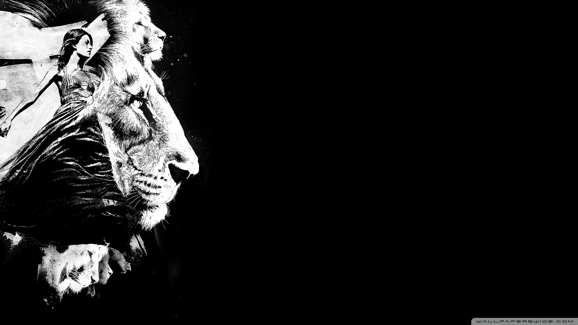 Leone, Bianco e nero, Profilo, Sfondo nero, 16:9 Full HD, wallpaper widescreen