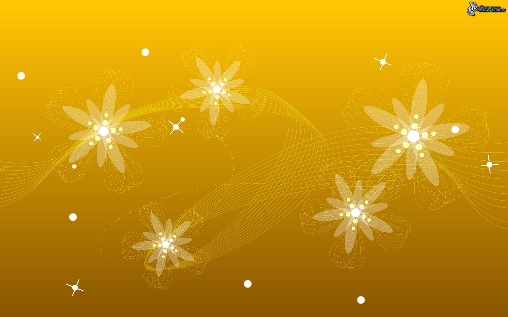 Fiori stilizzati, Stelline, Oro, Illustrazione, 16:10 Full HD, sfondo widescreen