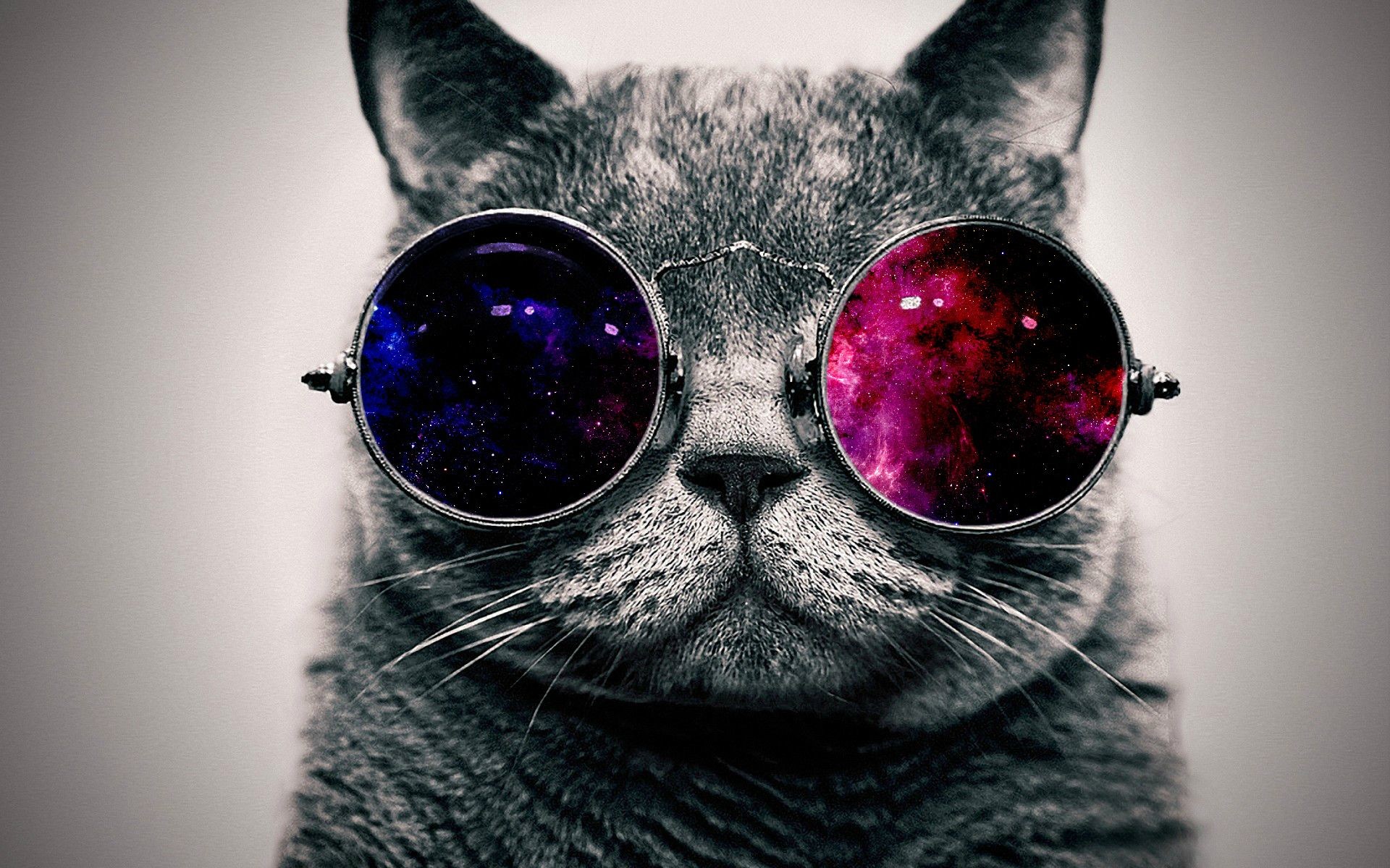 Gatto, Occhiali da sole, Galassia, Bianco e nero, 1920x1200, sfondo per PC
