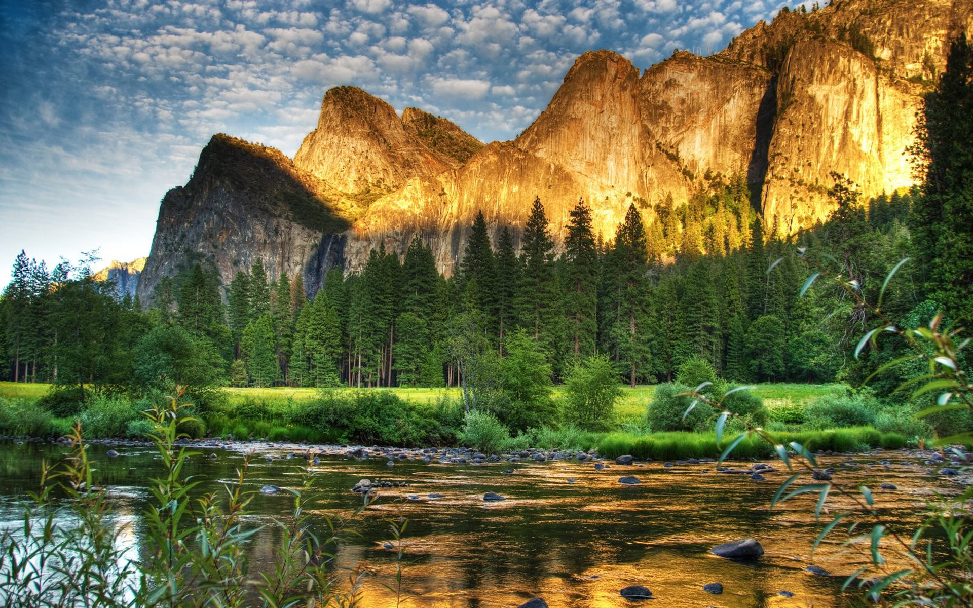 Yosemite, California, Foresta, Montagne, Full HD, sfondo Windows 11