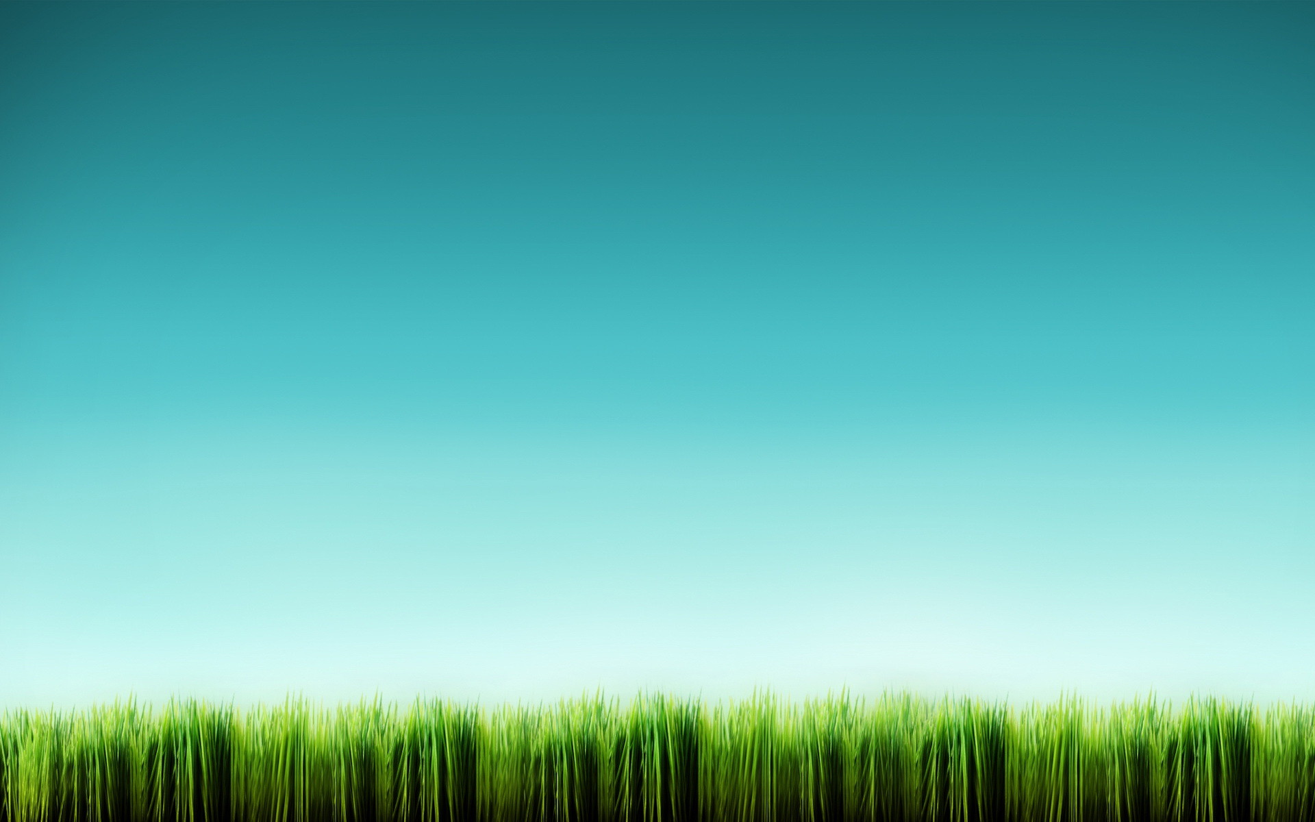 Erba, Cielo turchese, Orizzonte, Minimalista, 1920x1200, sfondo per PC