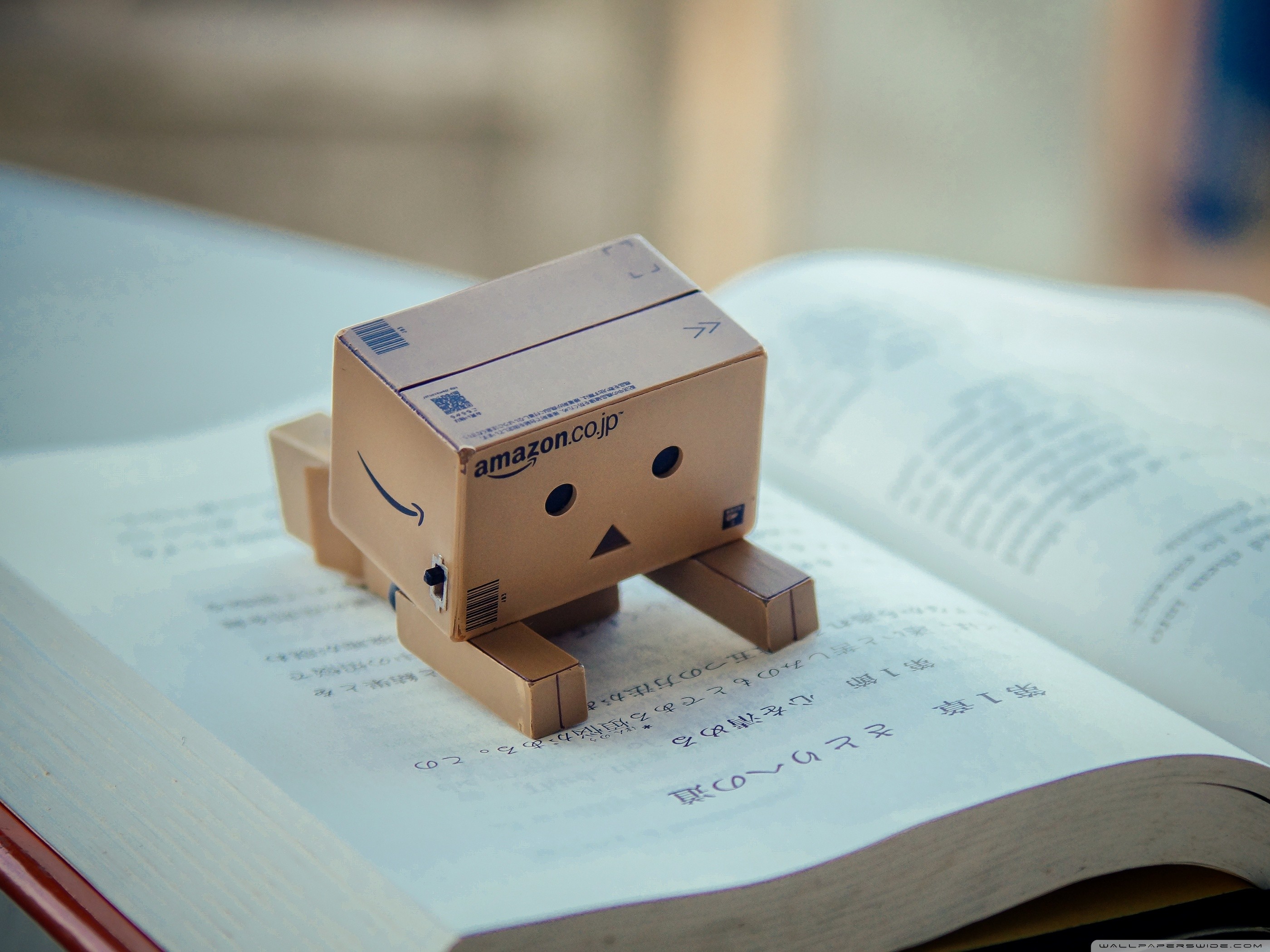 Danbo, Libro aperto, Amazon, Profondità di campo, 2K, sfondo per iPad e tablet