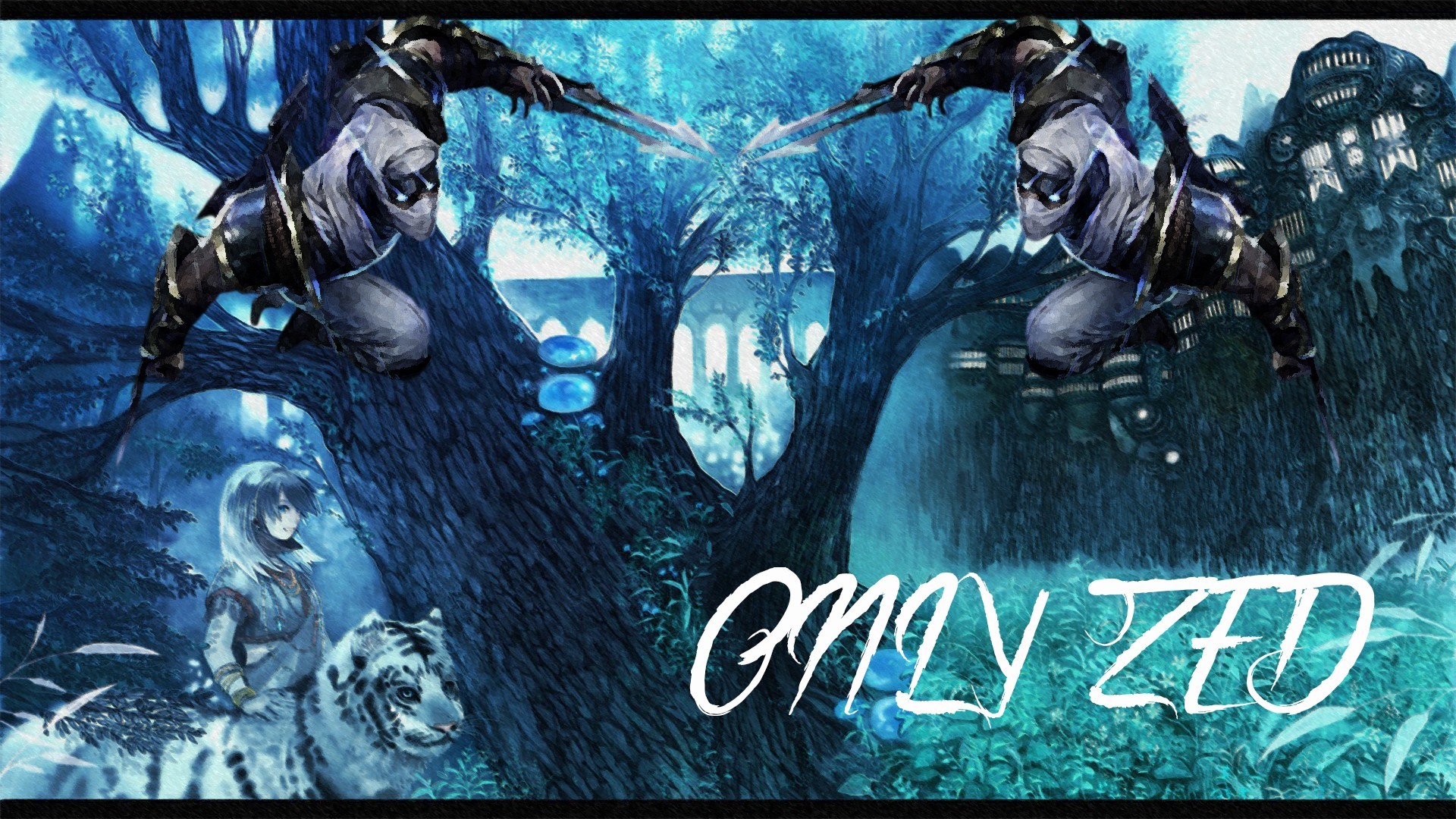 Only Zed, Zed, League of Legends, Blu, Full HD, sfondo desktop