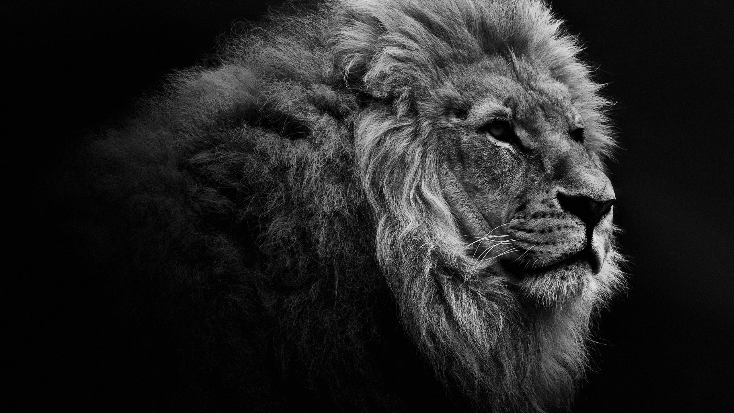 HD Desktop Wallpapers Collection (30 Wallpapers), 2K, wallpaper per computer