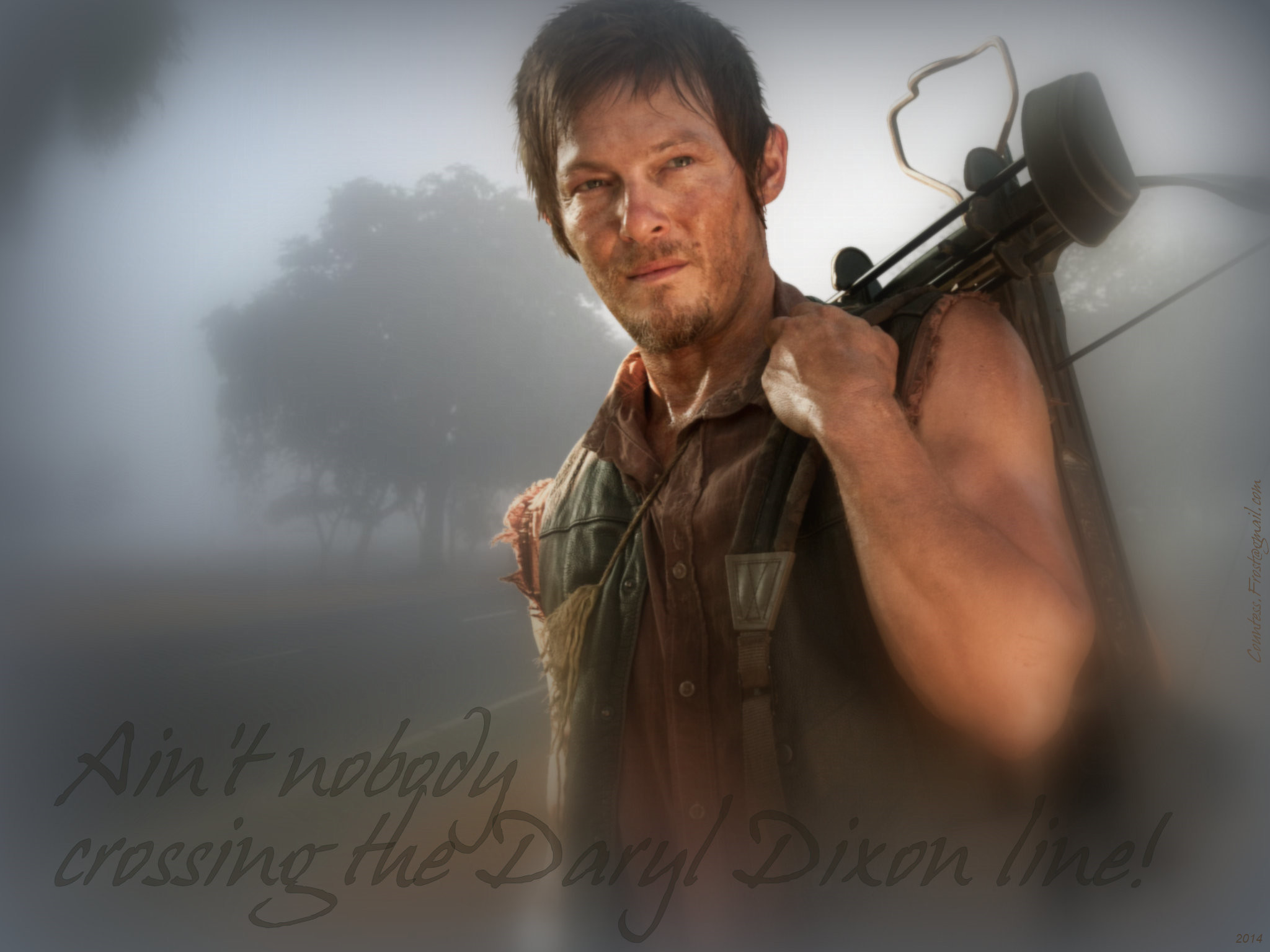 Daryl Dixon, Norman Reedus, The Walking Dead, Balestra, Nebbia, Full HD, schermata di blocco iPad
