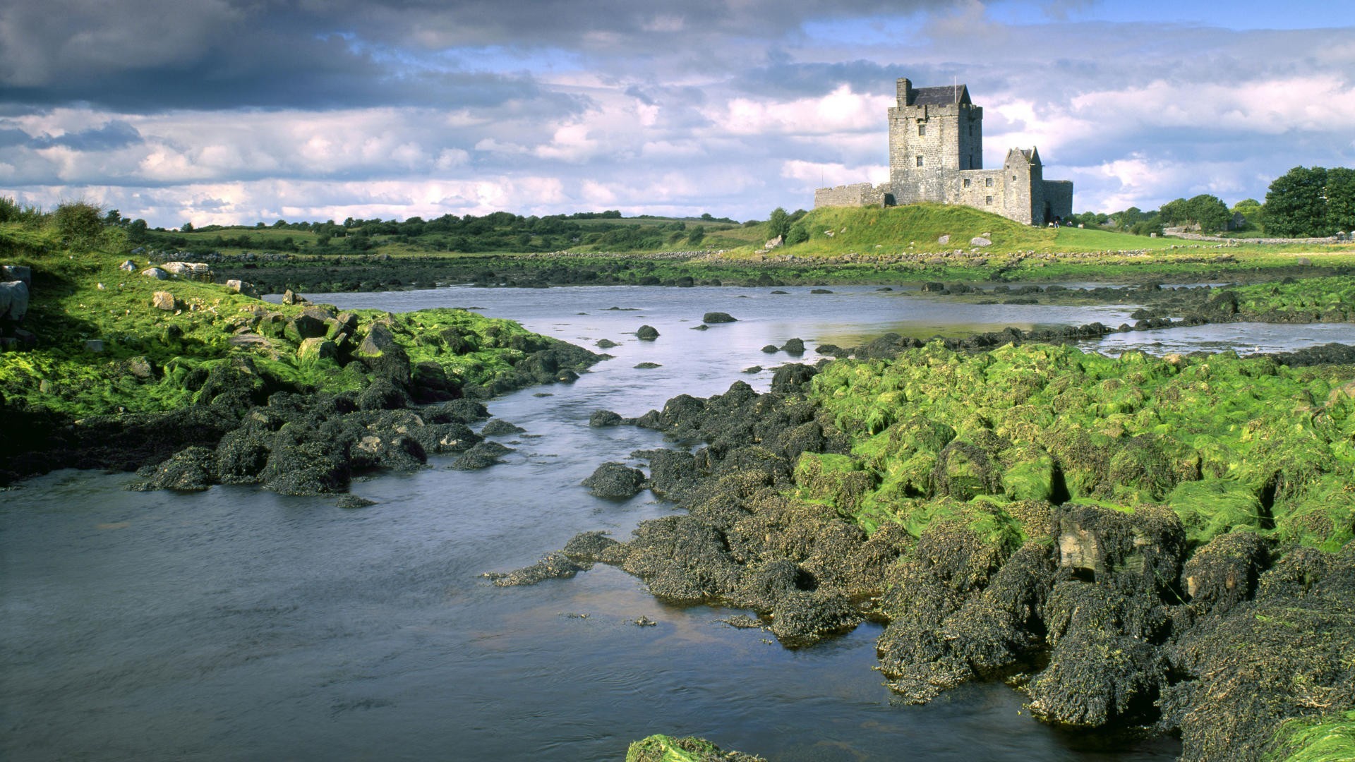 Castello di Dunguaire, Galway, Irlanda, Fiume, Rocce, Full HD, sfondo Windows 11