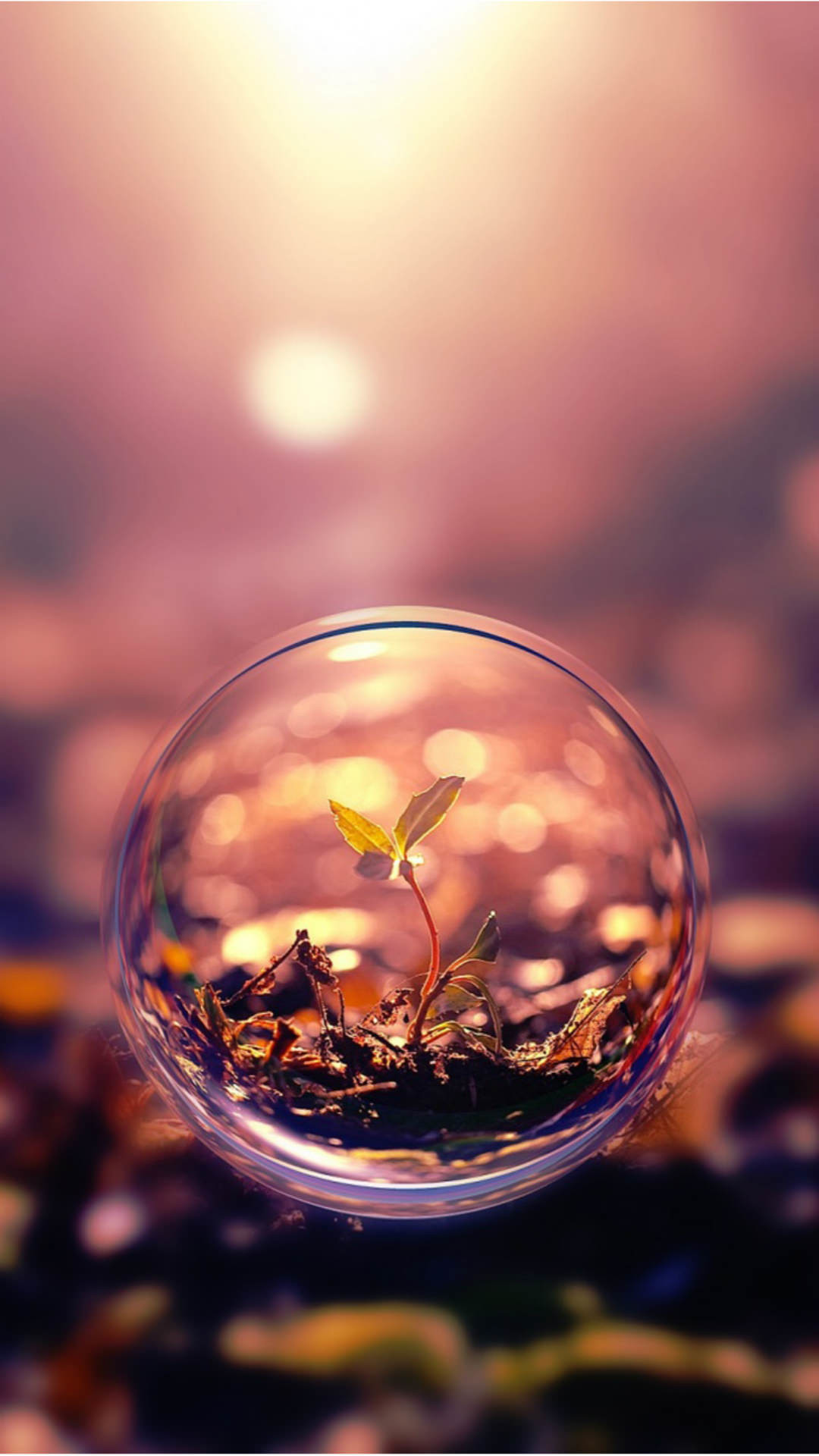 Sfera di vetro, Germoglio, Bokeh, Tramonto, Full HD, sfondo verticale per cellulare
