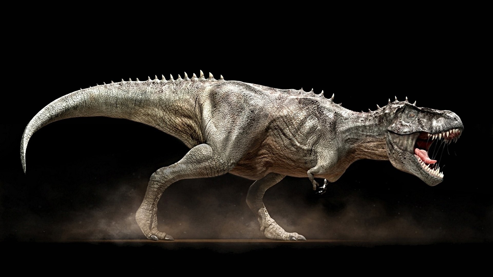 Tyrannosaurus rex, Dinosauro, Sfondo nero, Full HD, wallpaper desktop
