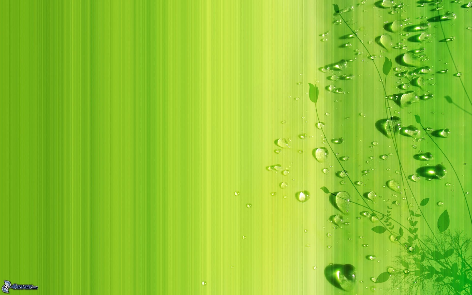 Gocce d'acqua, Righe, Verde lime, Full HD, sfondo per PC