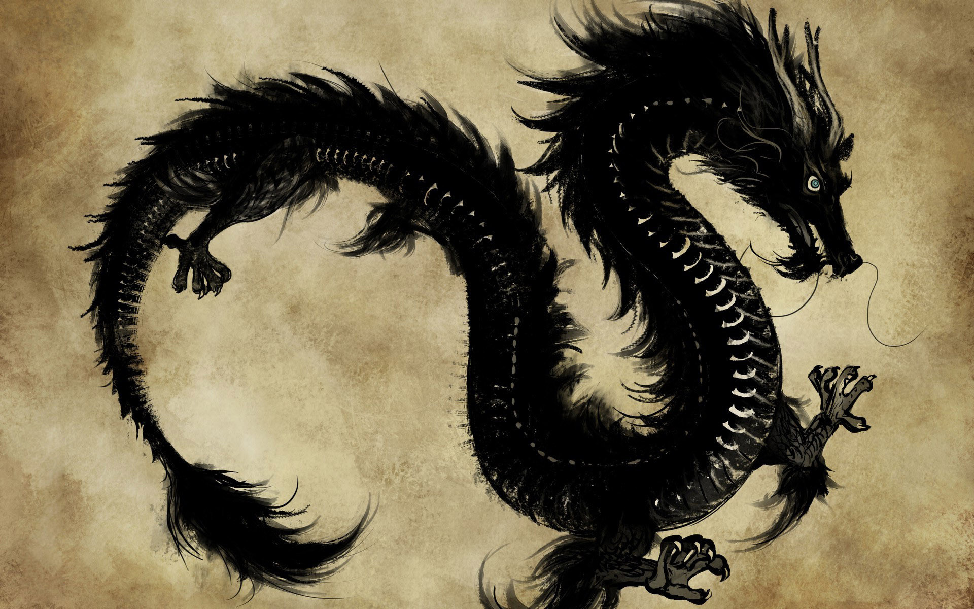Drago cinese, Inchiostro, Carta pergamena, 1920x1200, sfondo per PC