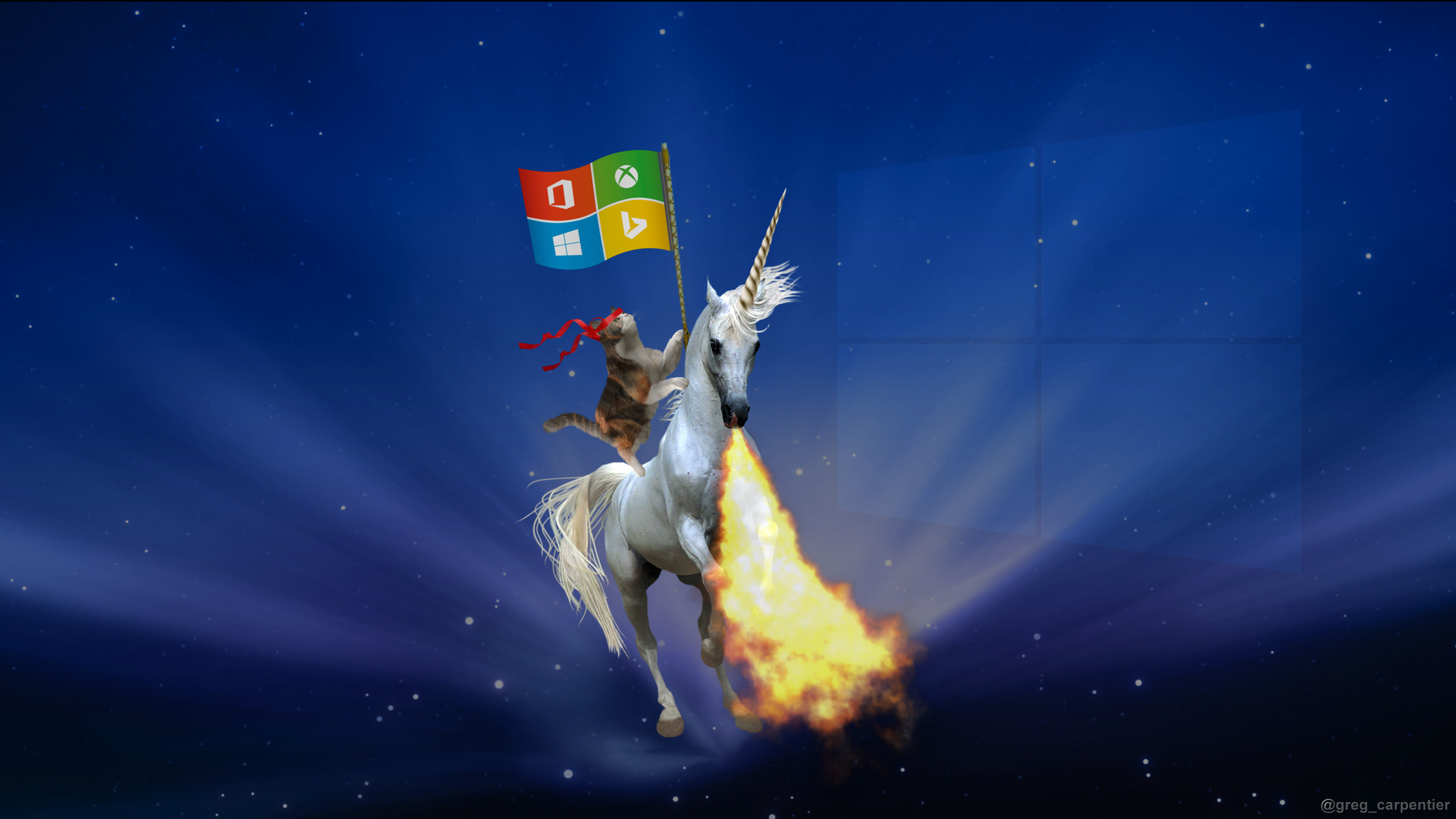 Unicorno, Gatto, Logo Windows, Bandiera, Umorismo, Fiamme, 4K 2160p, sfondo desktop