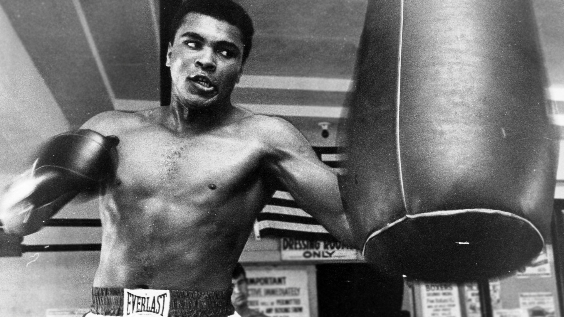 Muhammad Ali, Sacco da boxe, Allenamento, Bianco e nero, Full HD, sfondo per PC e portatile