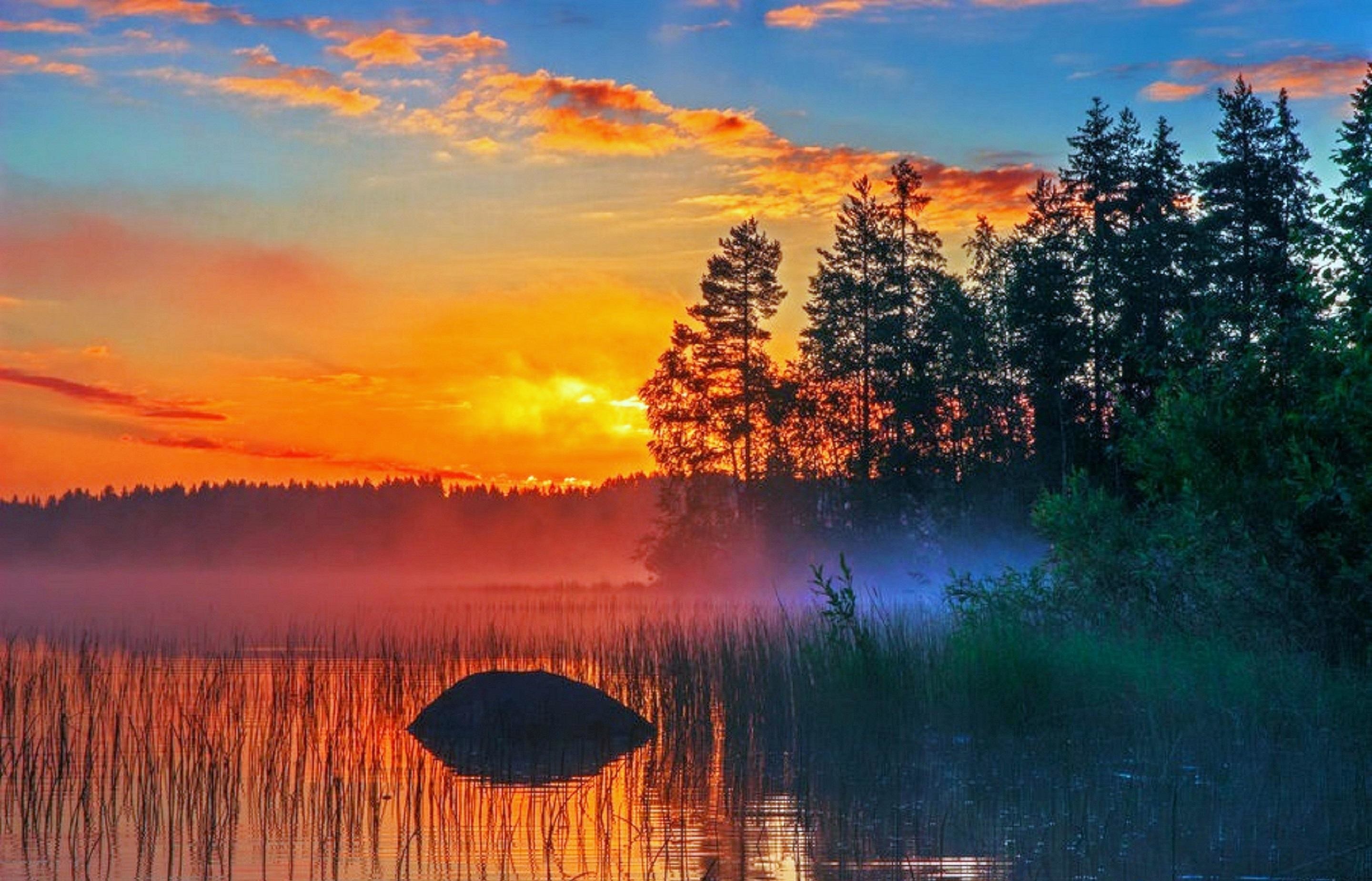 Lago, Tramonto, Pini, Nebbia, 2K, sfondo Windows 11
