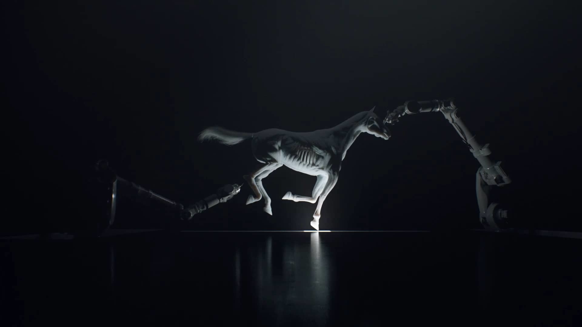 Westworld, Scheletro di cavallo, Sigla, Sfondo nero, 1920x1080, wallpaper desktop