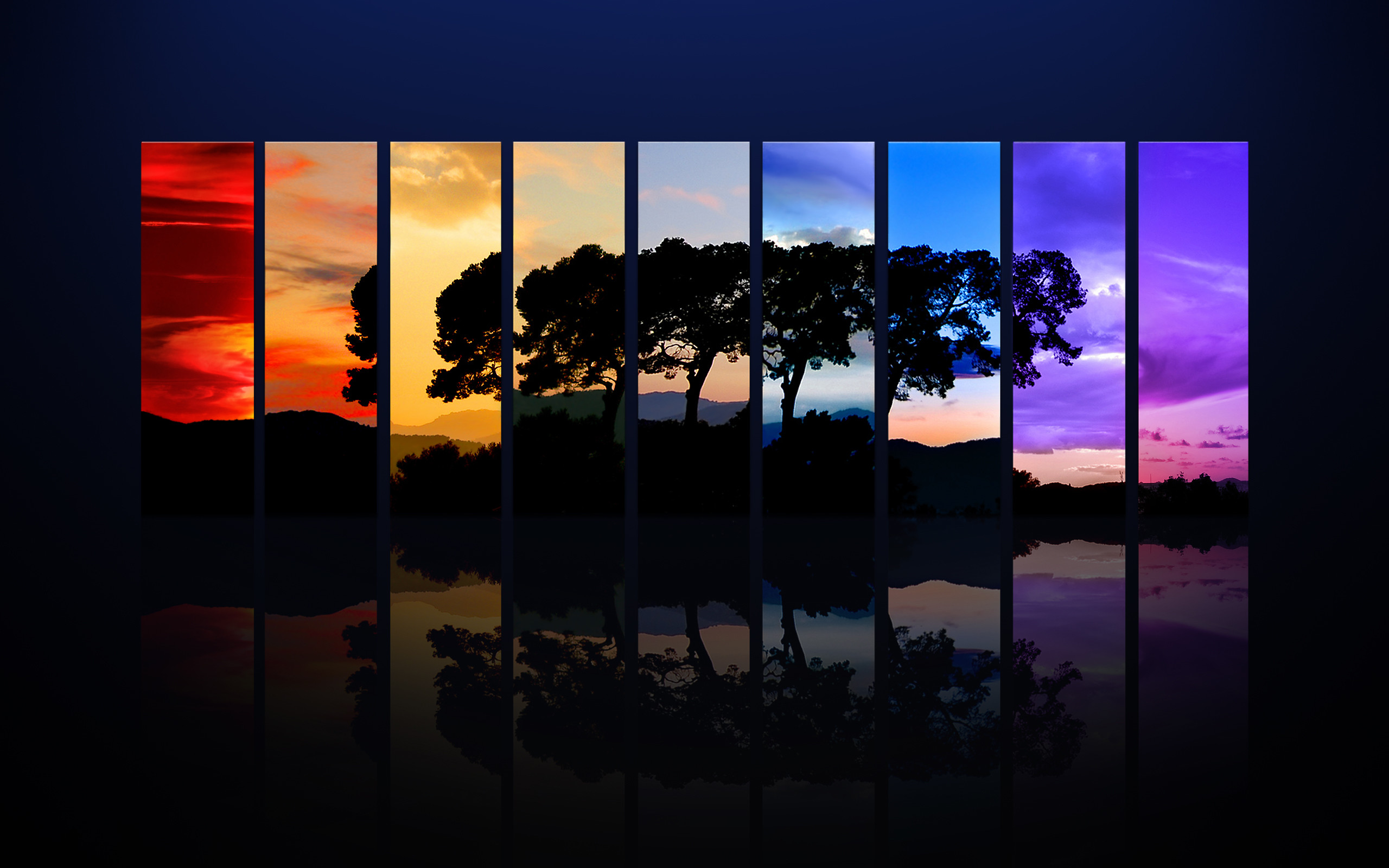 Albero, Silhouette, Arcobaleno di colori, Riflesso, Pannelli, 2K, sfondo per portatile