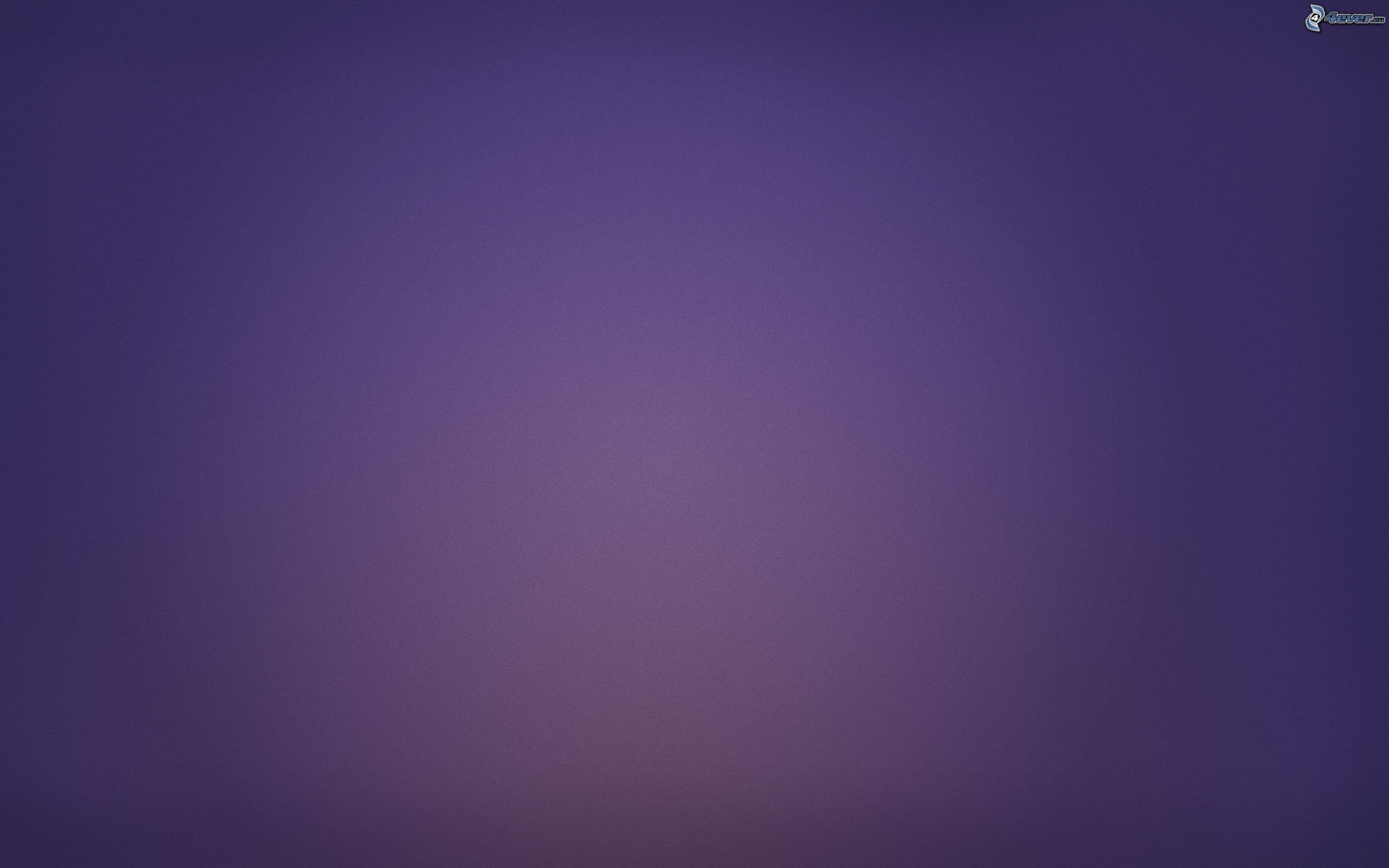 Sfumatura, Viola, Minimalismo, 2560x1600, immagine di sfondo