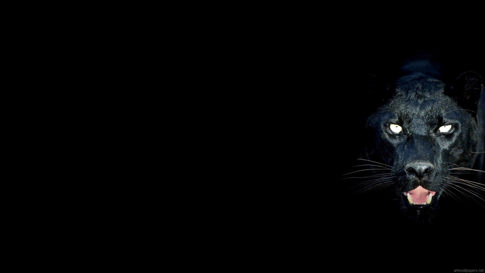 Pantera nera, Occhi luminosi, Sfondo nero, 16:9 Full HD, wallpaper widescreen