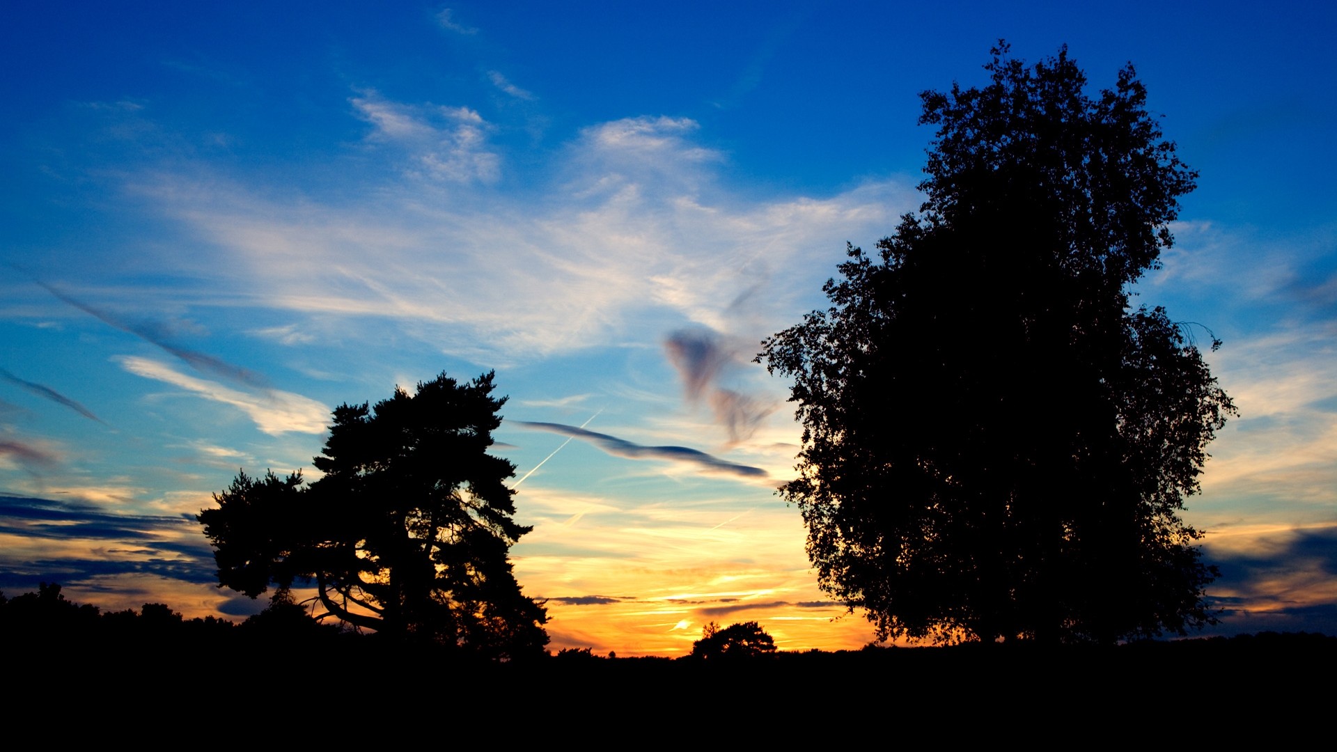 Alberi, Silhouette, Tramonto, Cielo blu, Full HD, sfondo per PC e portatile