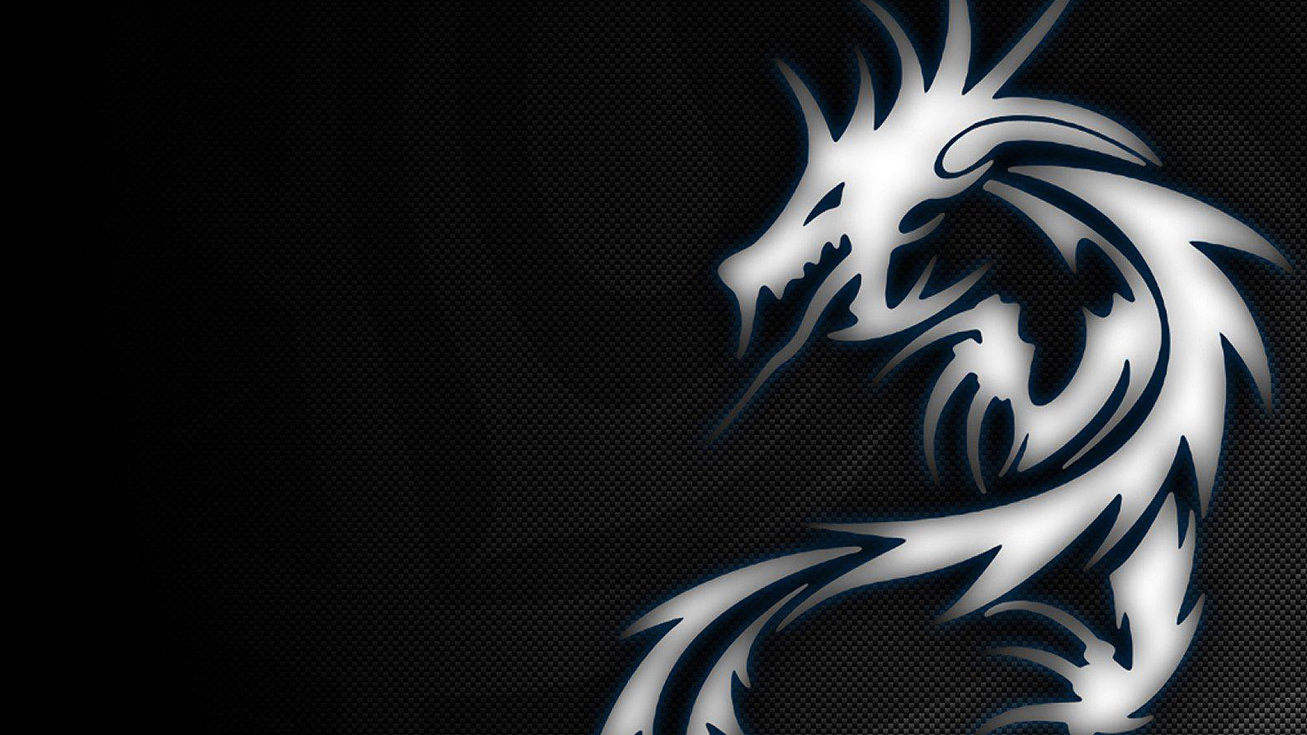MSI, Drago bianco, Sfondo nero, 16:9 2K, wallpaper widescreen