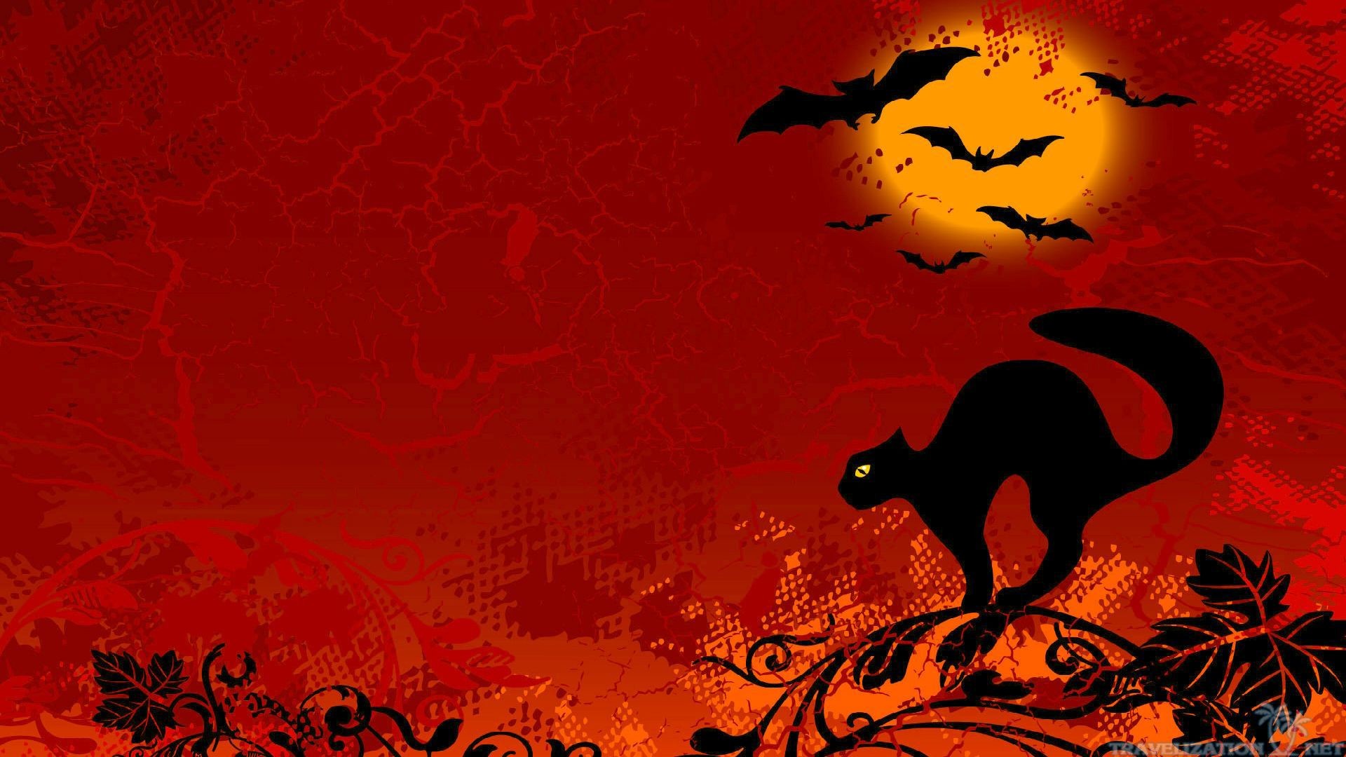 Gatto nero, Pipistrelli, Luna, Rosso, Silhouette, Full HD, sfondo per portatile