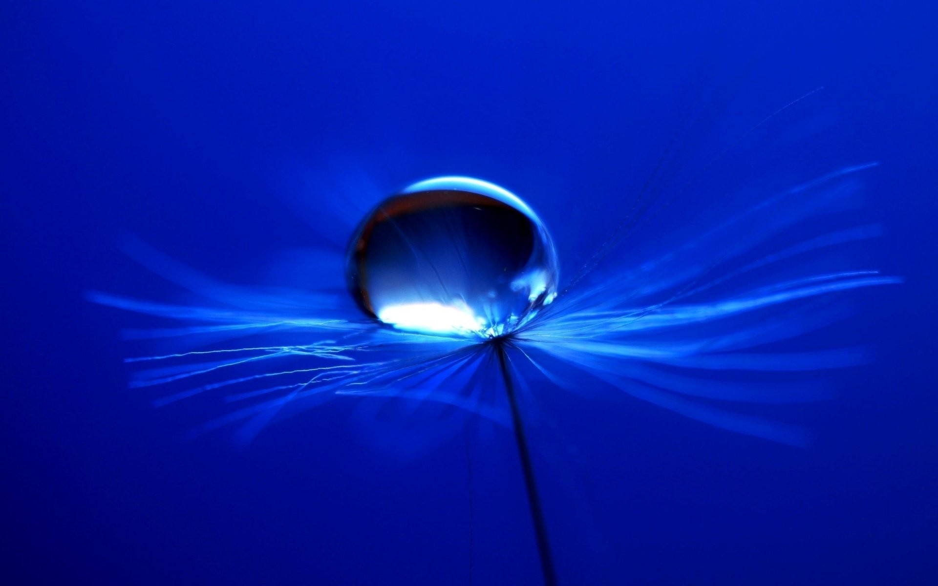 Goccia d'acqua, Blu, Macro, 1920x1200, immagine di sfondo