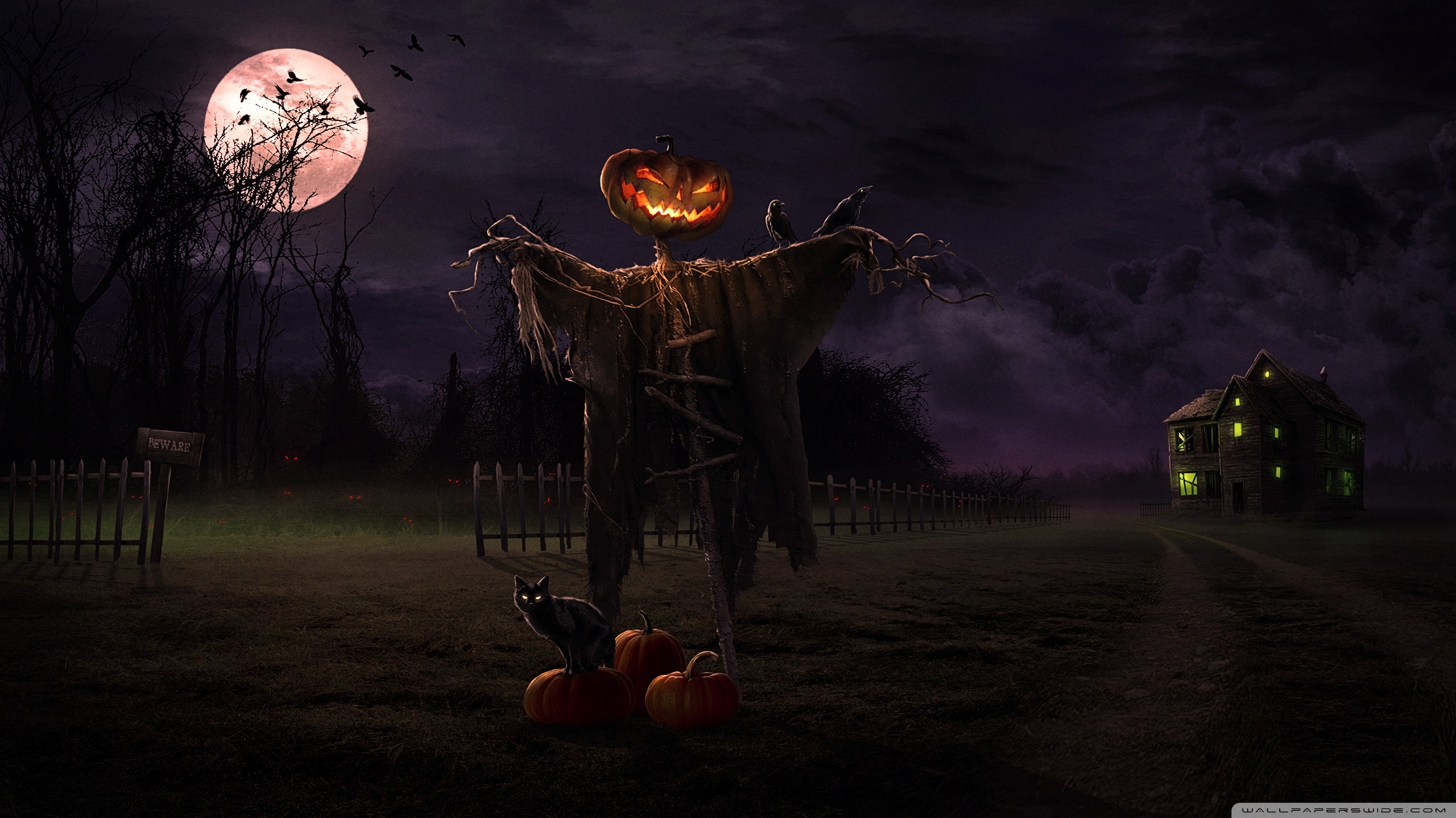 Spaventapasseri, Testa di zucca, Luna piena, Casa, Notte, 2560x1440, sfondo per PC