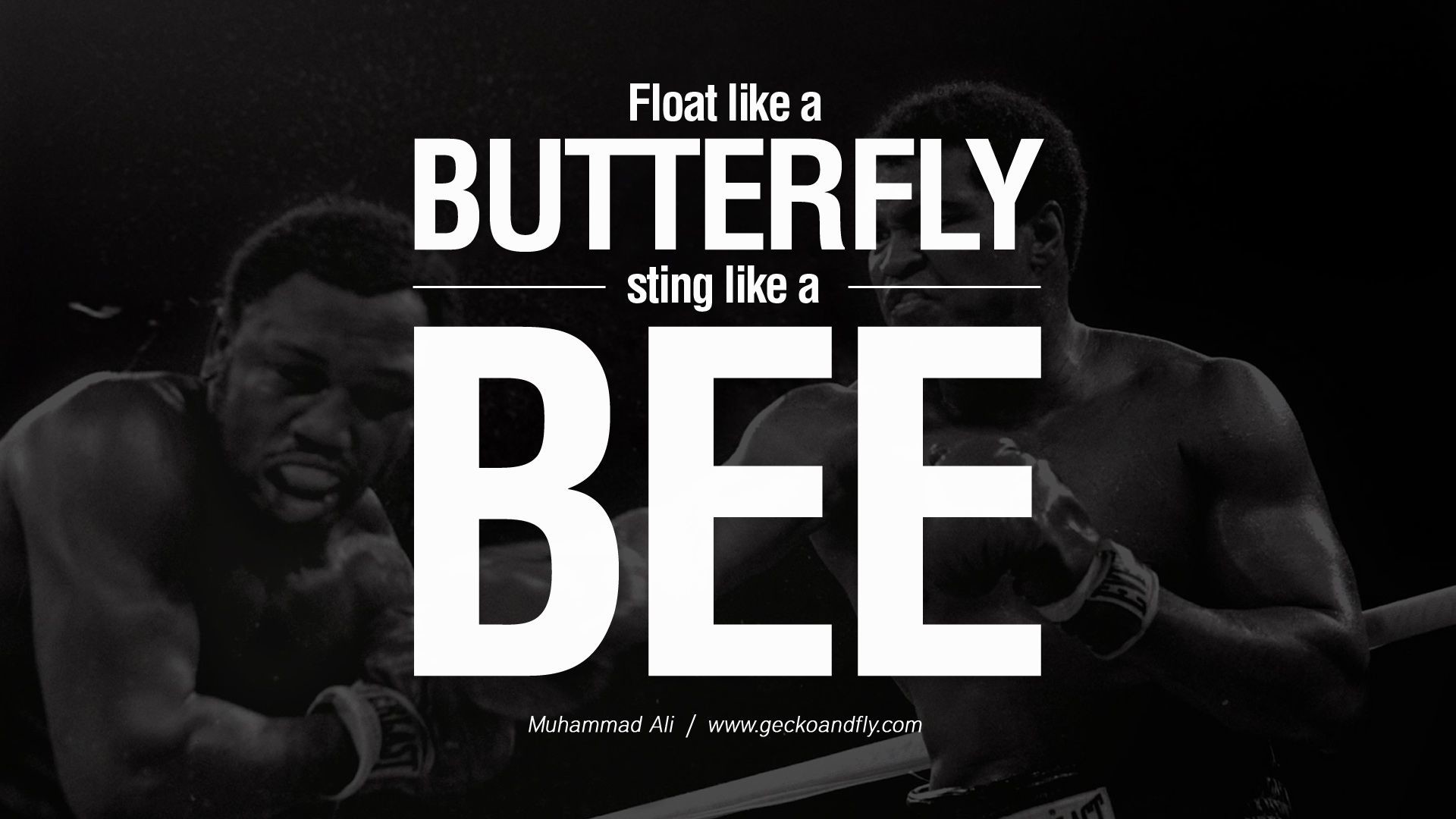 Muhammad Ali, Citazione, Float like a butterfly, Tipografia, Full HD, sfondo desktop