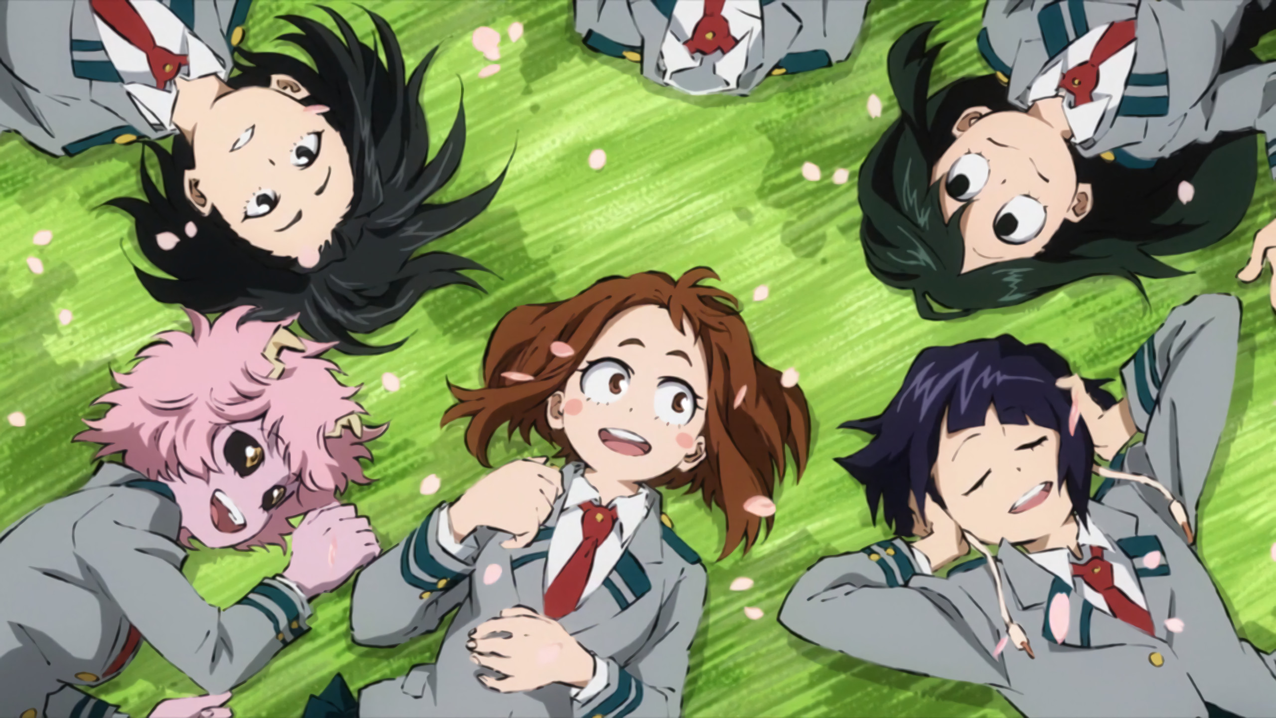 Ochaco Uraraka, Tsuyu Asui, Kyoka Jiro, Mina Ashido, My Hero Academia, Prato, sfondo 2K