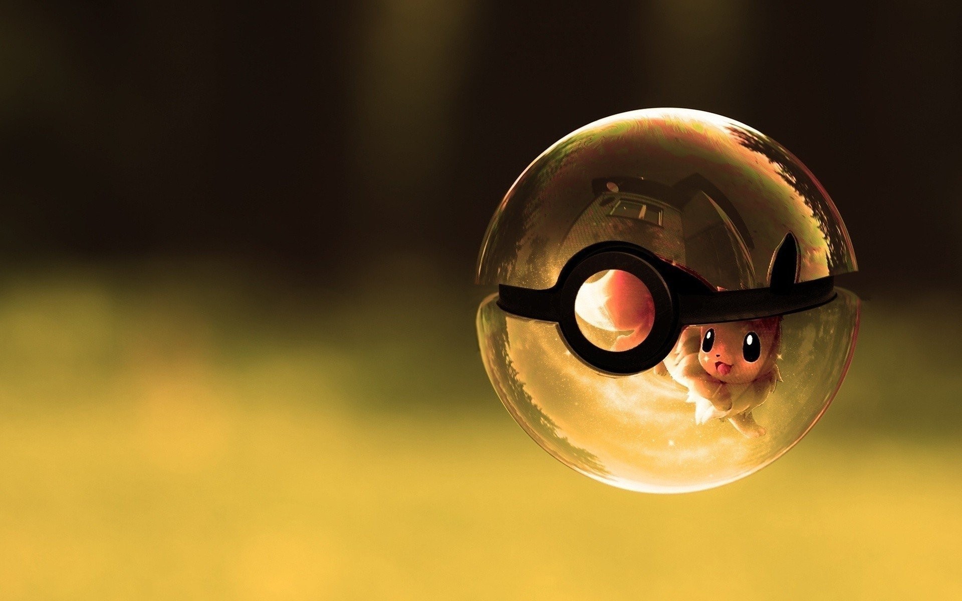 Poké Ball, Eevee, Pokémon, Sfera di vetro, Bokeh, Full HD, sfondo per PC e portatile