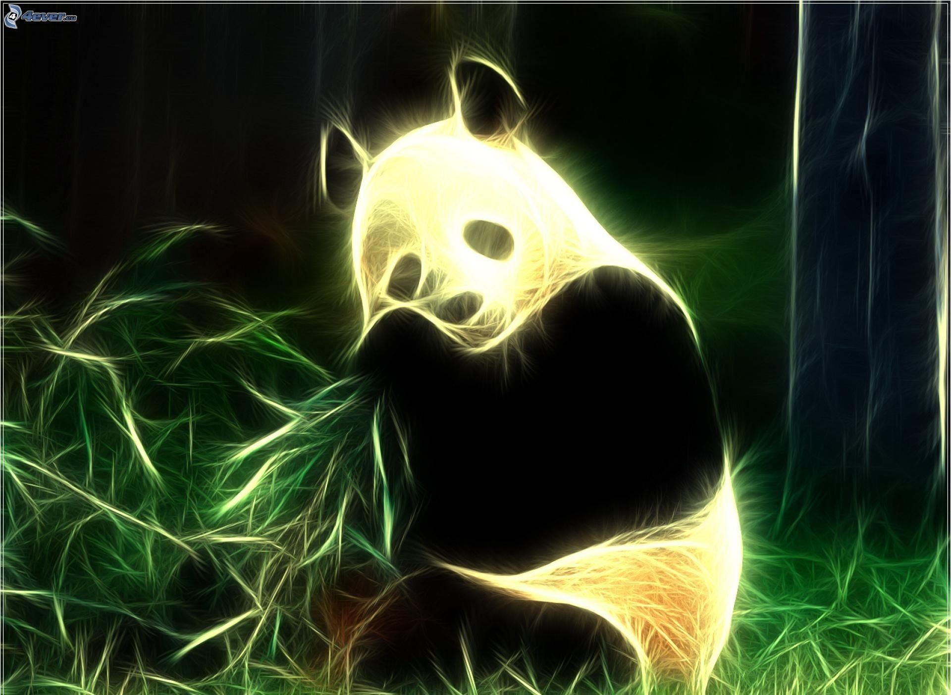 Panda, Effetto frattale, Luminoso, Full HD, sfondo per PC
