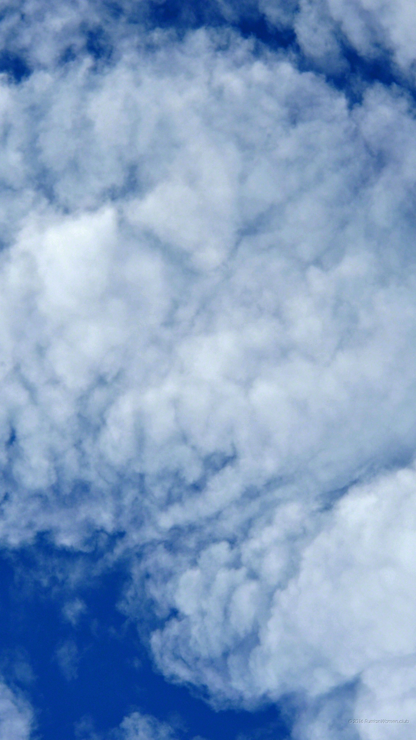 Nuvole, Cielo blu, QHD+, sfondo verticale per cellulare