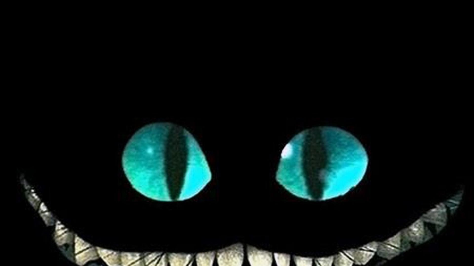 Stregatto, Sorriso, Occhi azzurri, Sfondo nero, Full HD, wallpaper per PC