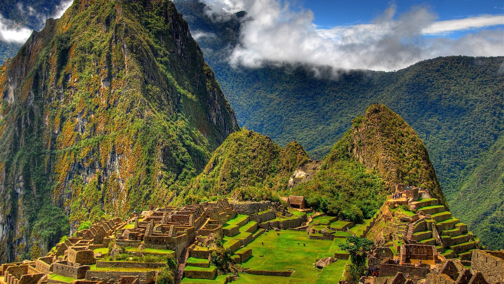 Machu Picchu, Huayna Picchu, Perù, Montagne verdi, 1920x1080, sfondo per PC