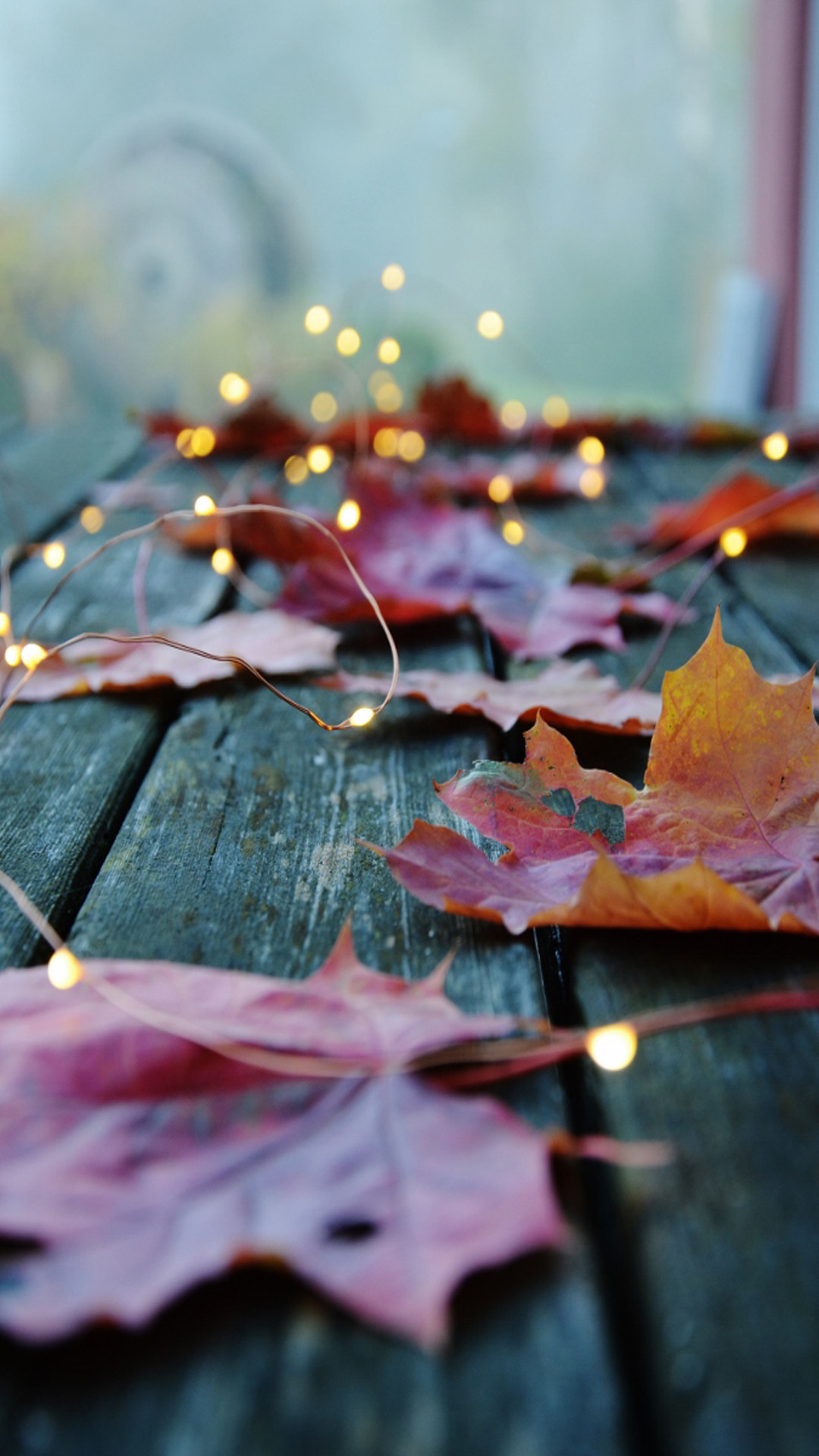 Foglie d'autunno, Lucine, Legno, sfondo per cellulare, iPhone e Android