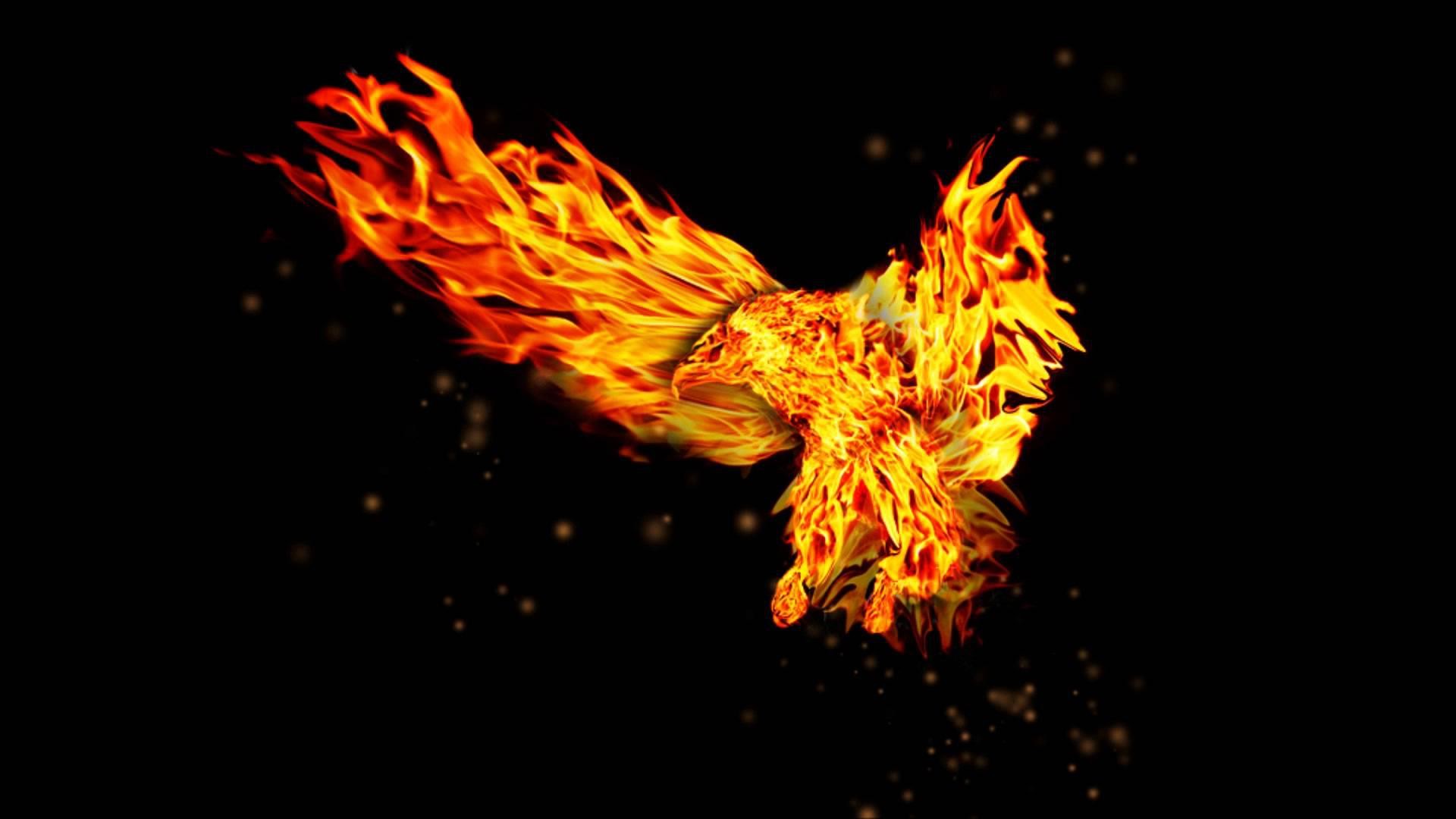Aquila di fuoco, Fiamme, Sfondo nero, Full HD, wallpaper desktop