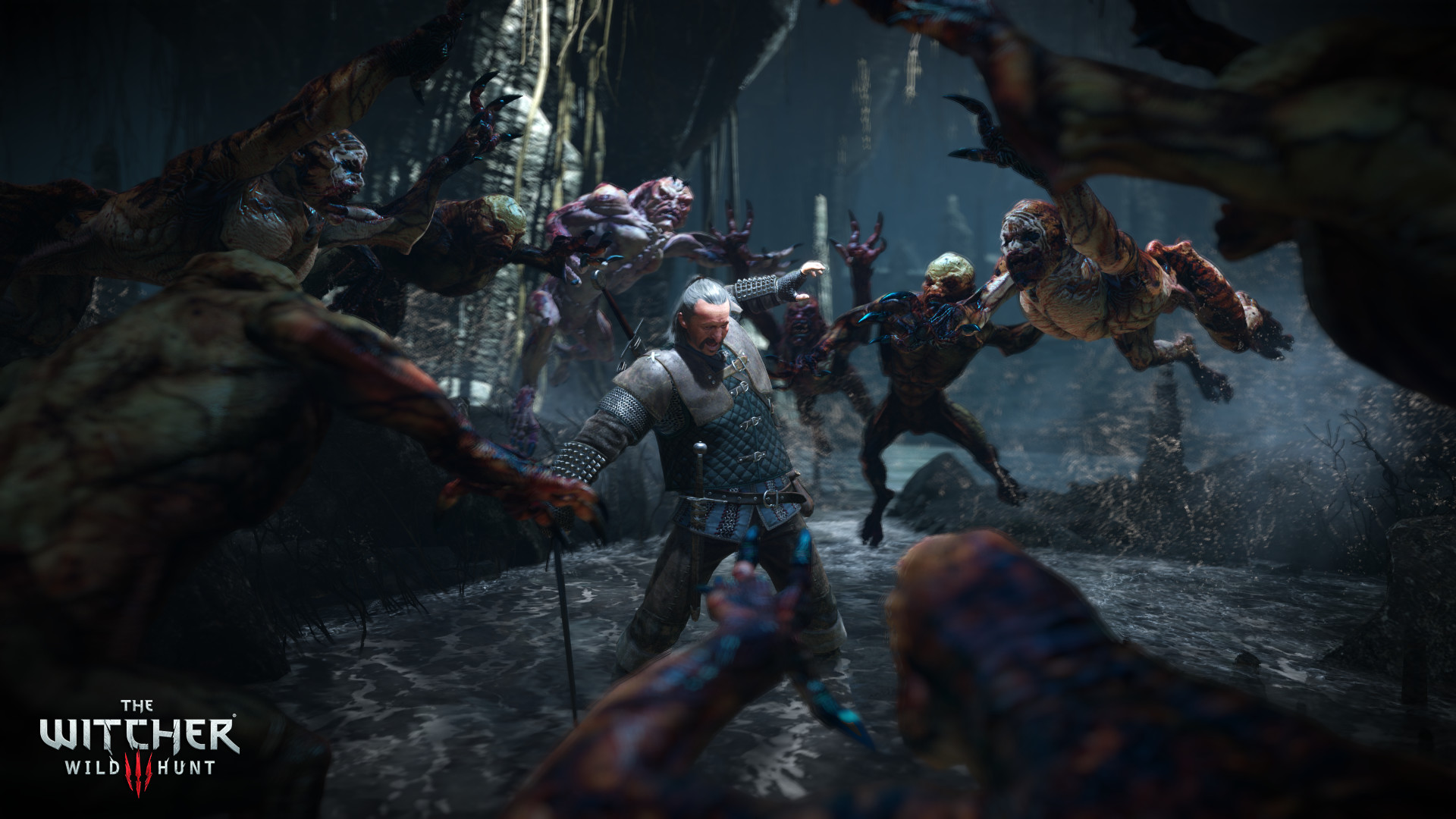 Geralt di Rivia, The Witcher 3: Wild Hunt, Mostri, Combattimento, sfondo 1920x1080 per PC