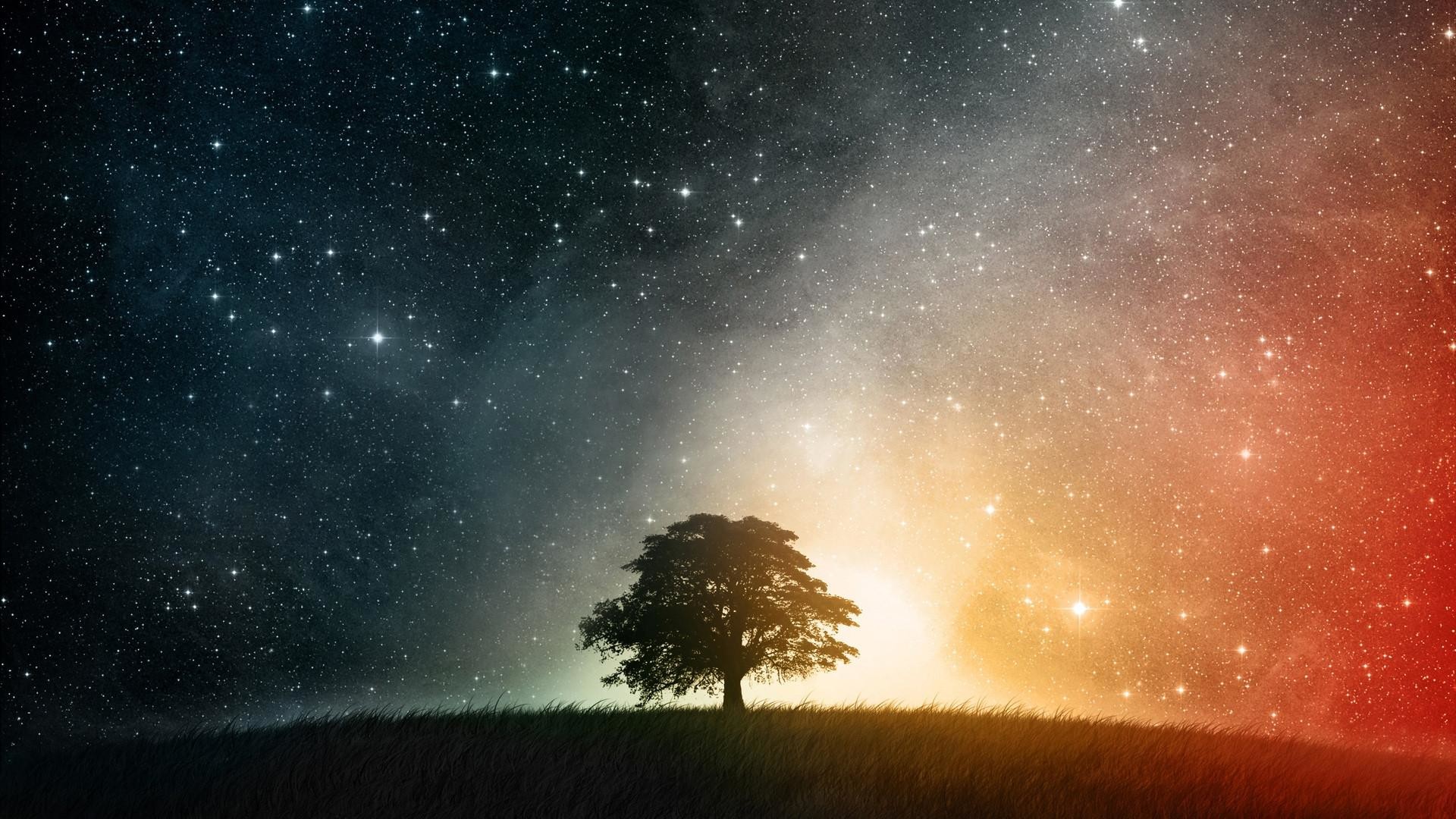 Albero solitario, Via Lattea, Cielo stellato, Silhouette, Full HD, wallpaper per portatile
