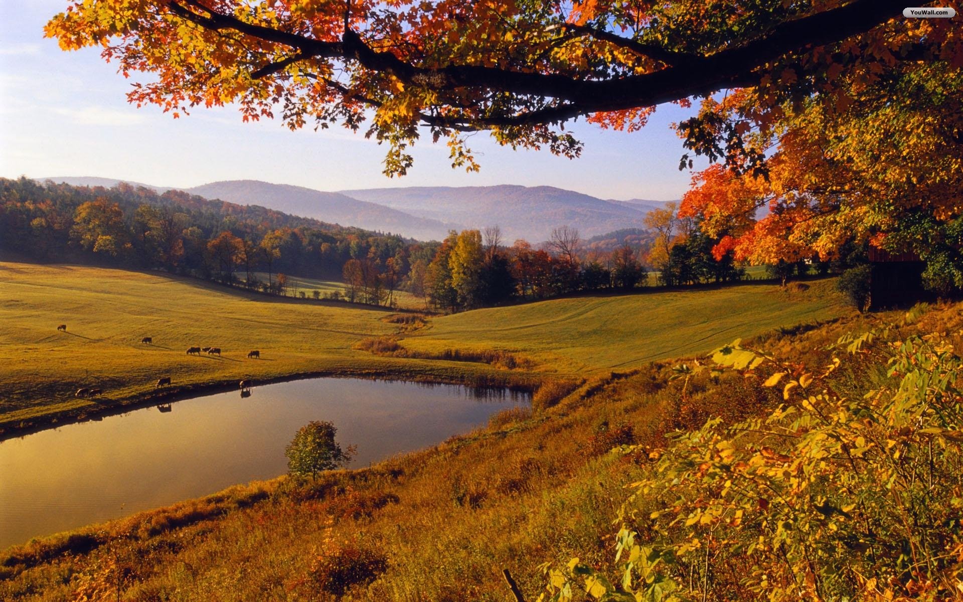 Autunno, Colline, Stagno, Foglie arancioni, 1920x1200, immagine di sfondo