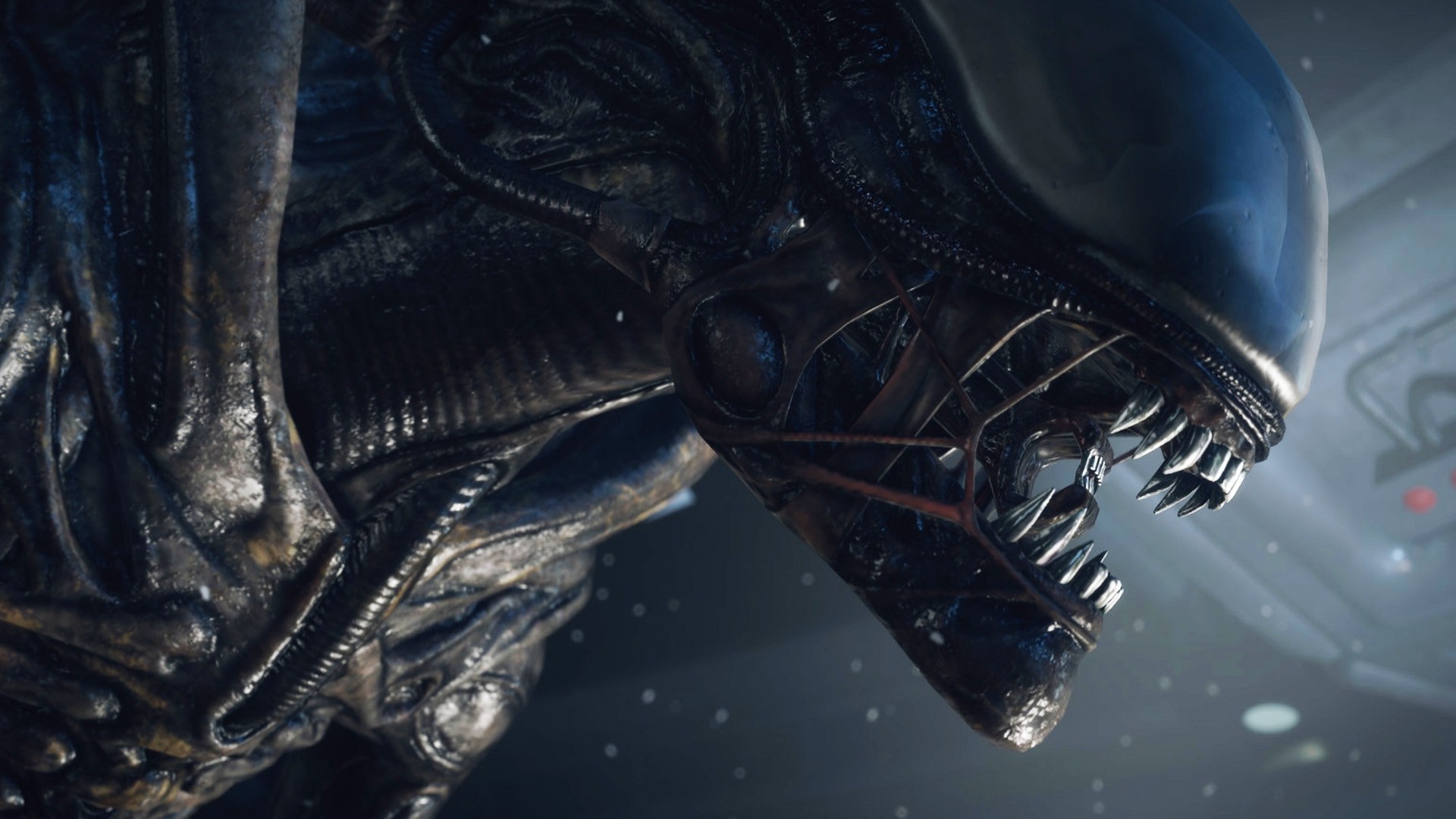 Xenomorfo, Alien, Testa, Primo piano, Full HD, sfondo desktop