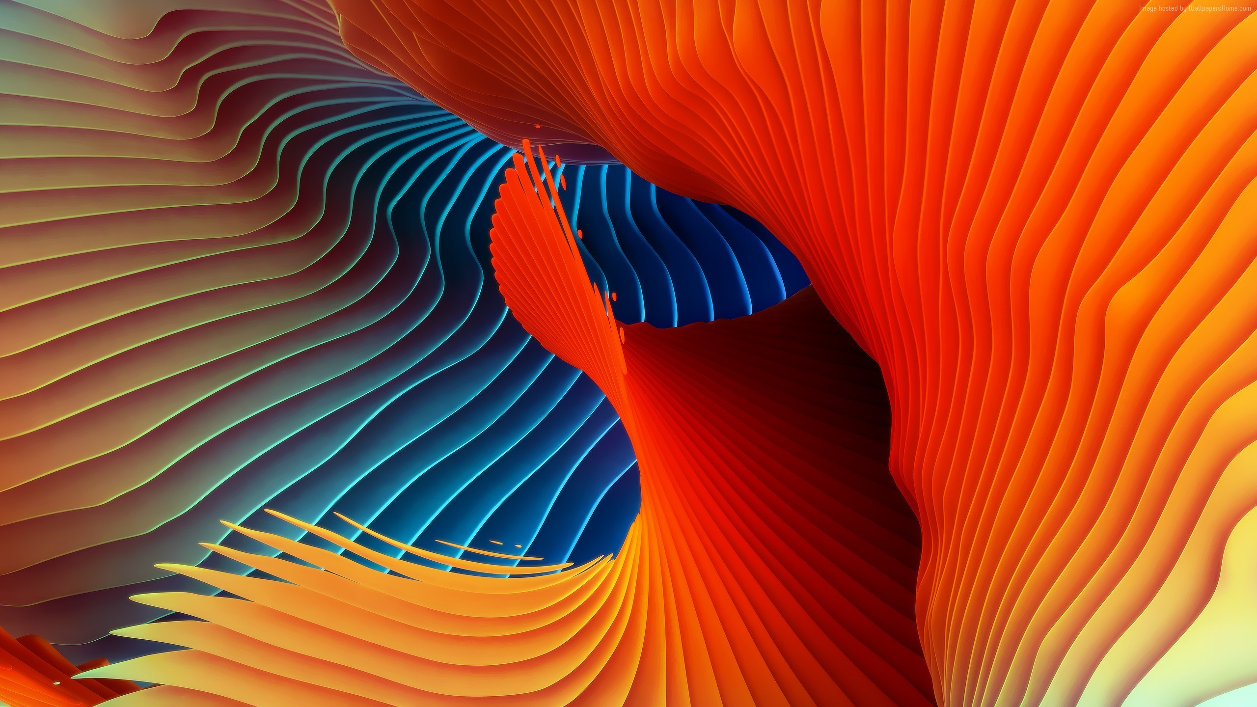 Sfondo macOS Sierra, Astratto, Onde arancioni, wallpaper iPhone