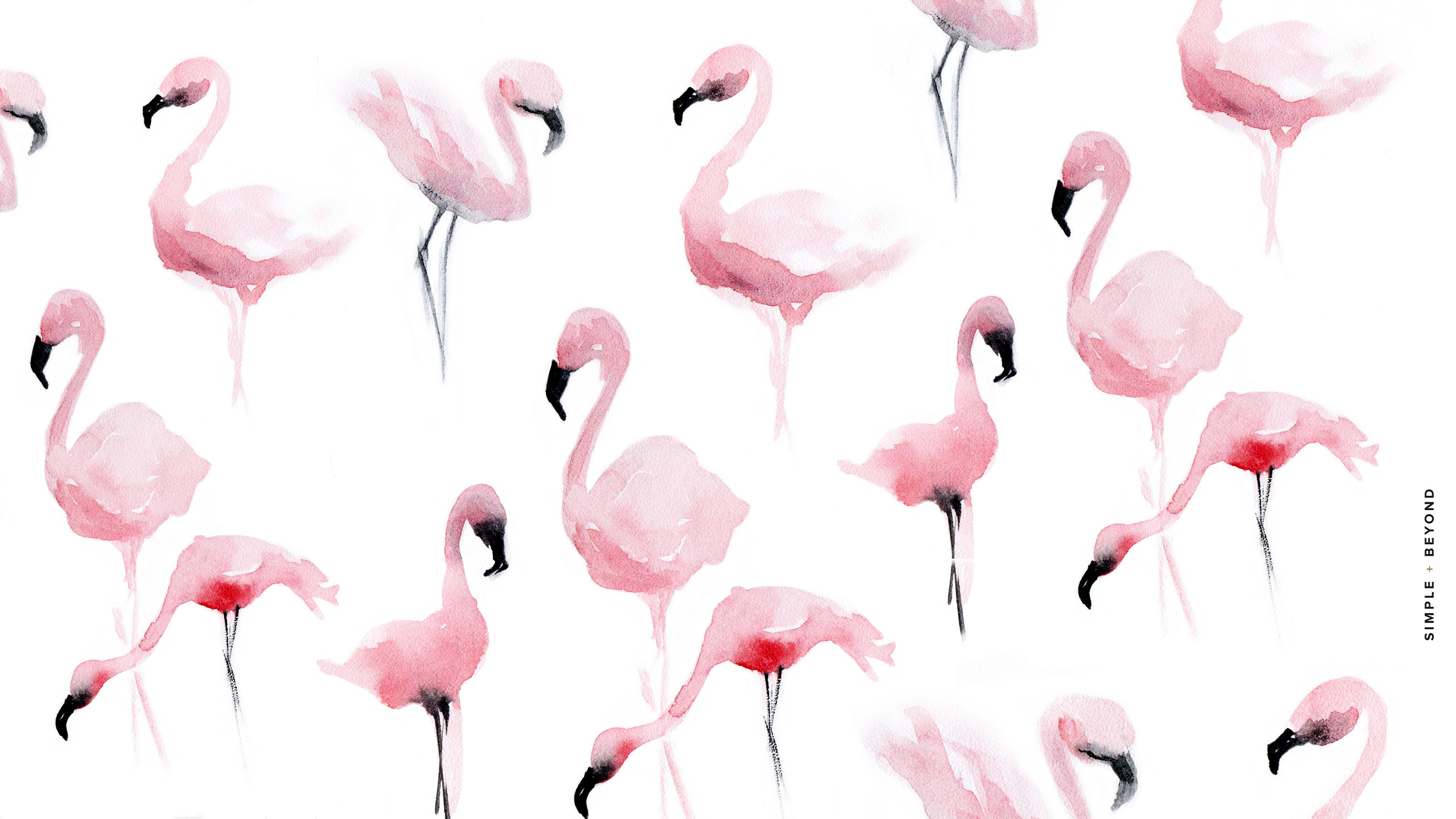 Fenicotteri, Acquerello, Motivo, Sfondo bianco, 2K, wallpaper desktop