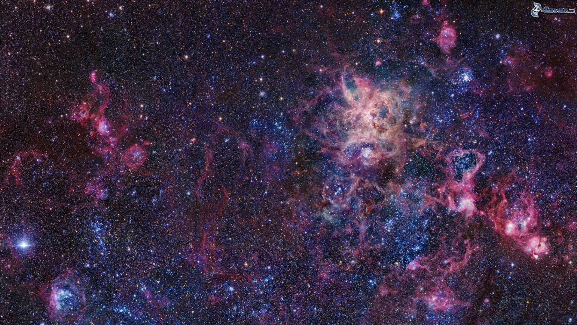 Nebulosa Tarantola, Nebulosa, Stelle, 1920x1080, sfondo per PC