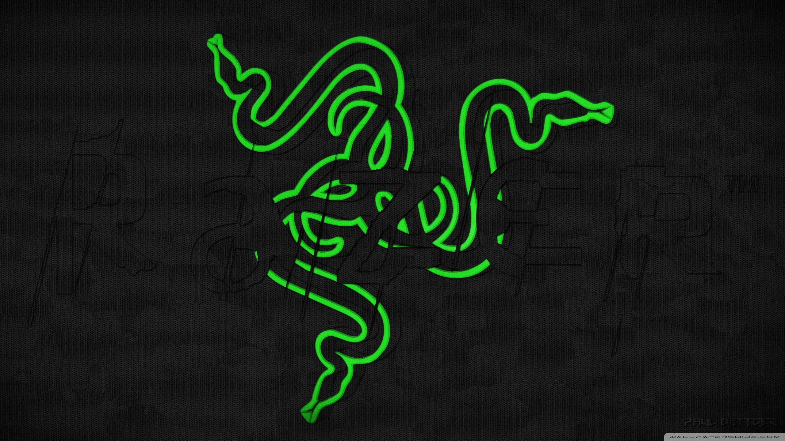 Razer, Logo Razer, Scritta Razer, Neon verde, Grigio, 16:9 2K, sfondo widescreen