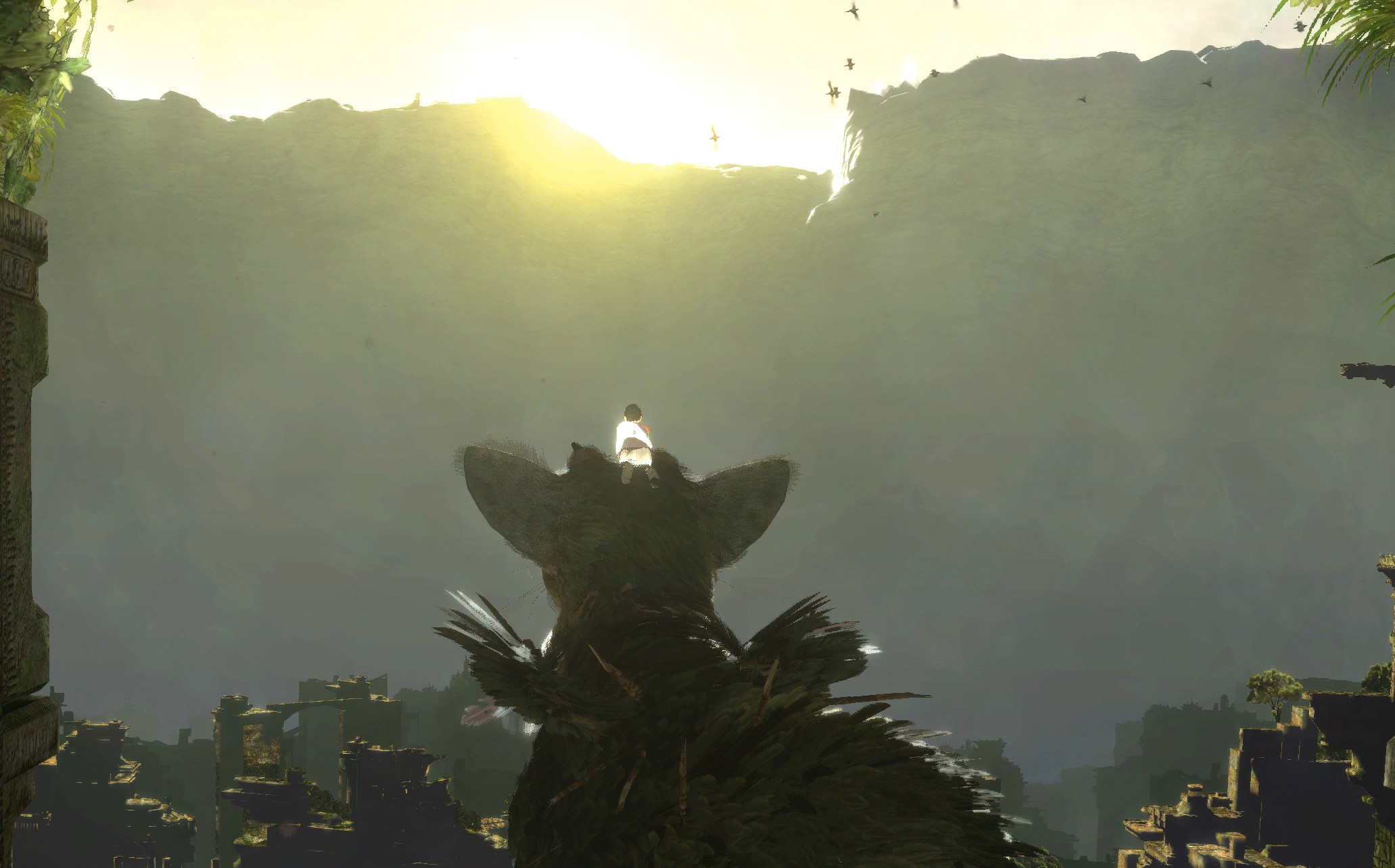 Trico, The Last Guardian, Ragazzo, Luce del sole, 16:10 Full HD, sfondo widescreen
