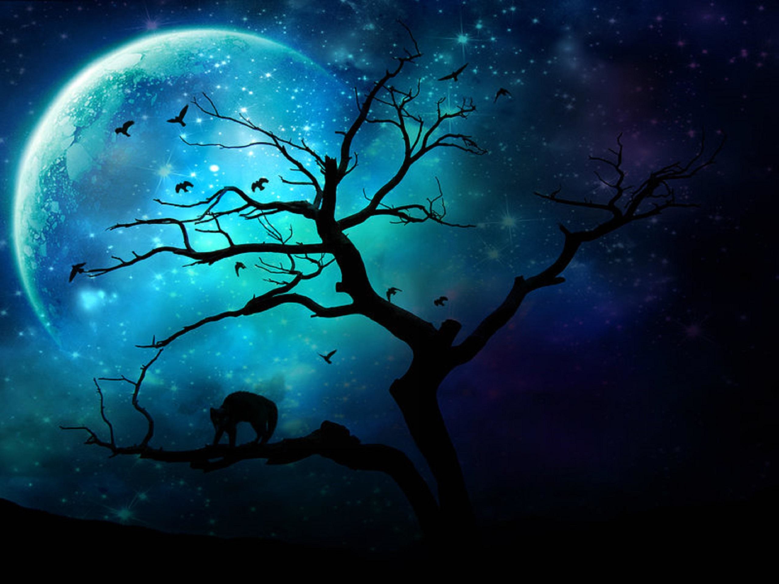 Luna, Albero spoglio, Silhouette, Fantasy, Turchese, 2K, sfondo per iPad e tablet