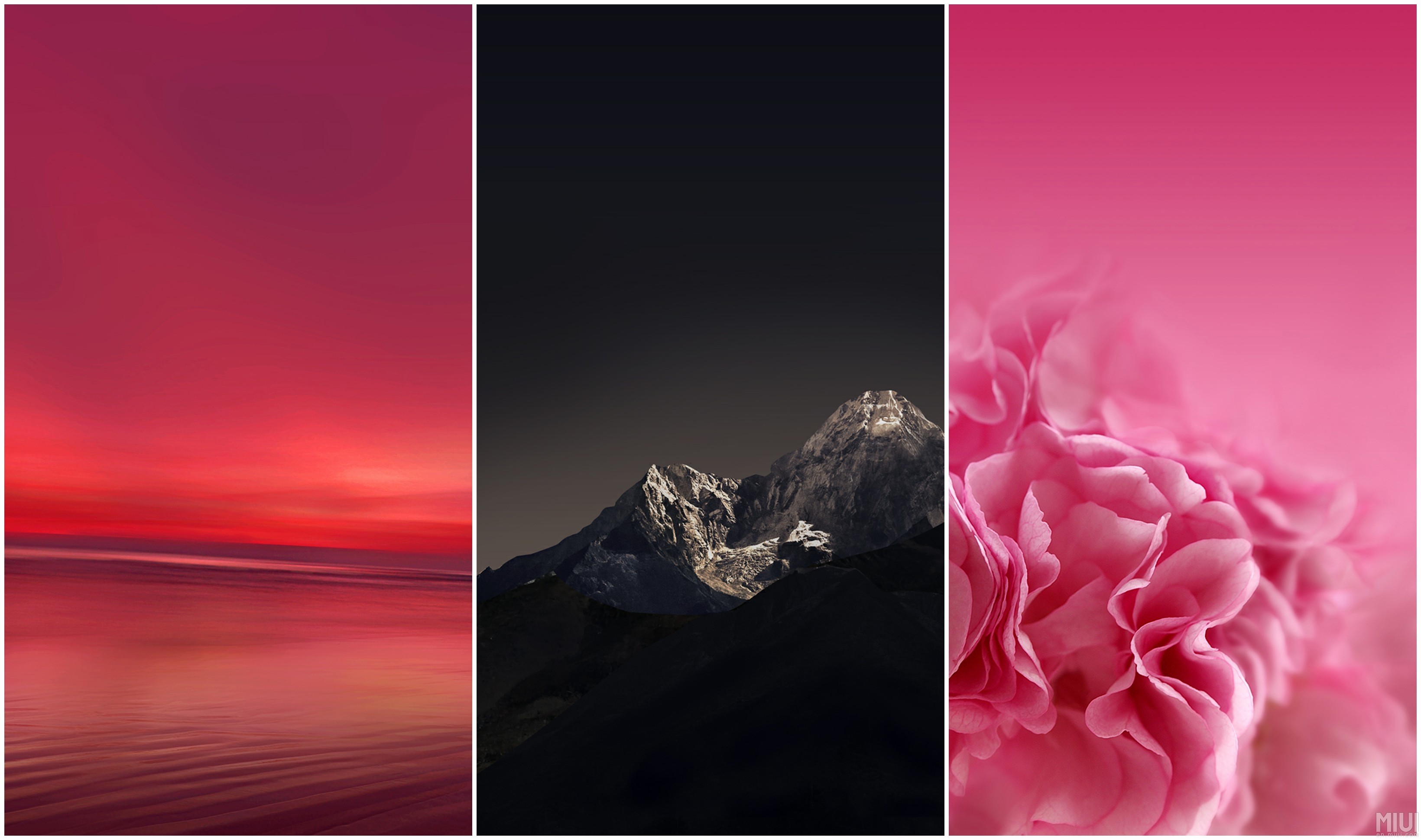 Asus ZenFone 3, Tramonto, Montagna, Fiore rosa, Collage, 2K, sfondo desktop