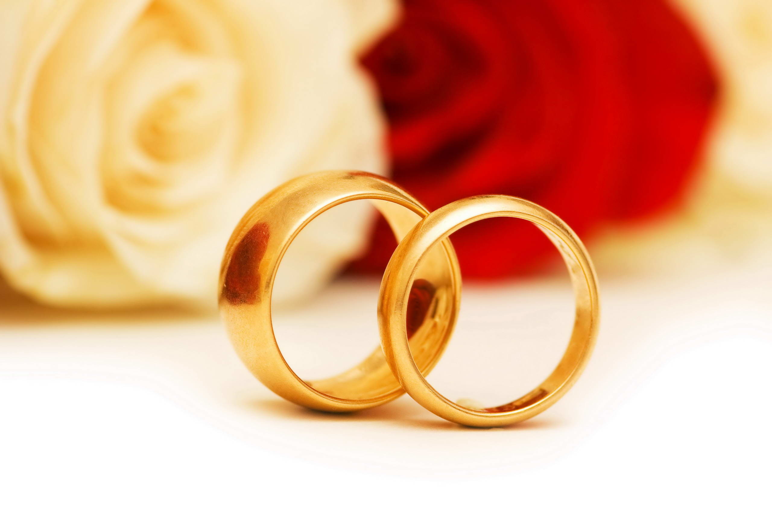 Fedi nuziali, Oro, Rose, Sfondo bianco, 2K, wallpaper per computer