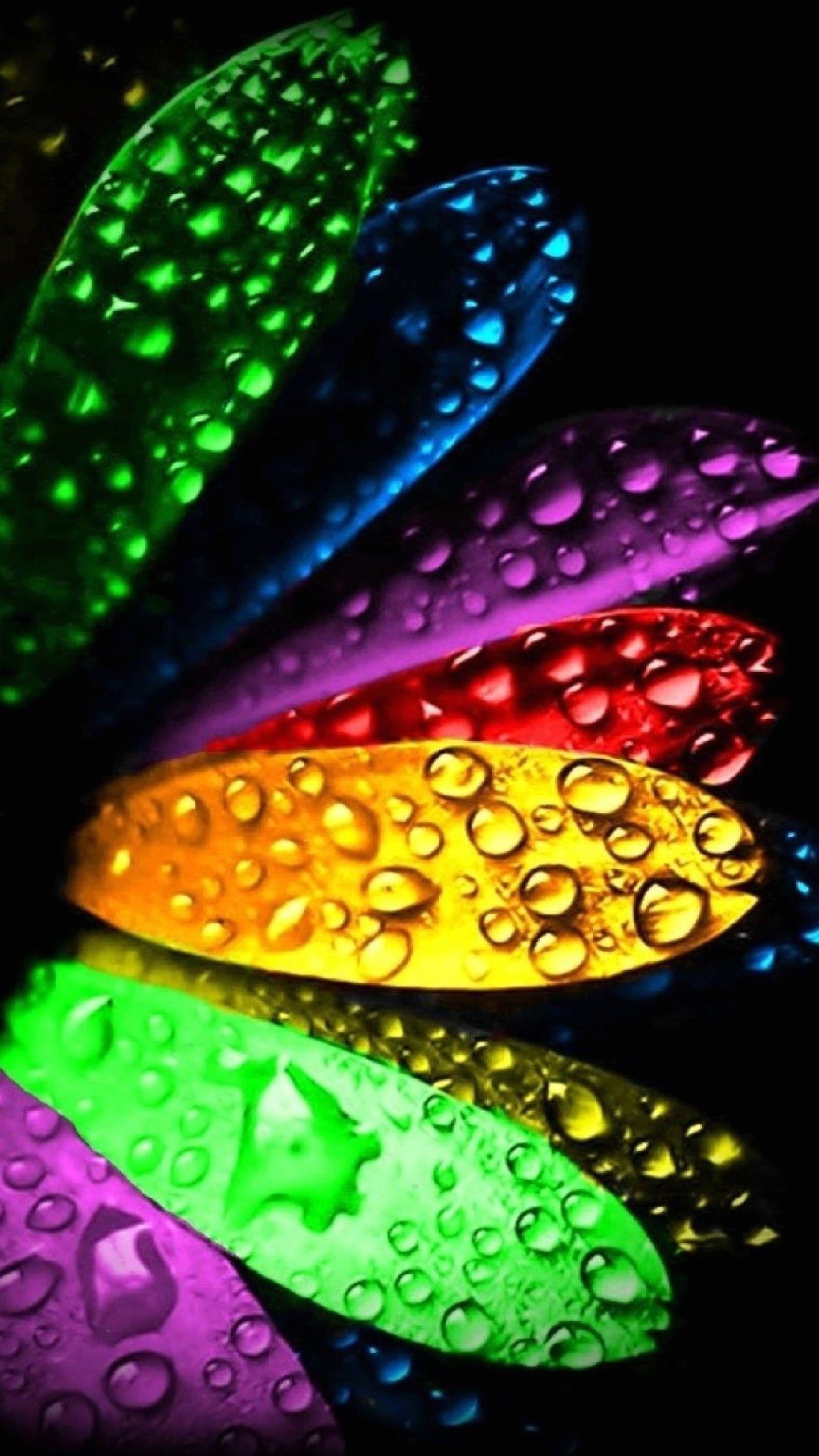 Petali, Gocce d'acqua, Multicolore, Sfondo nero, Full HD, schermata di blocco del cellulare